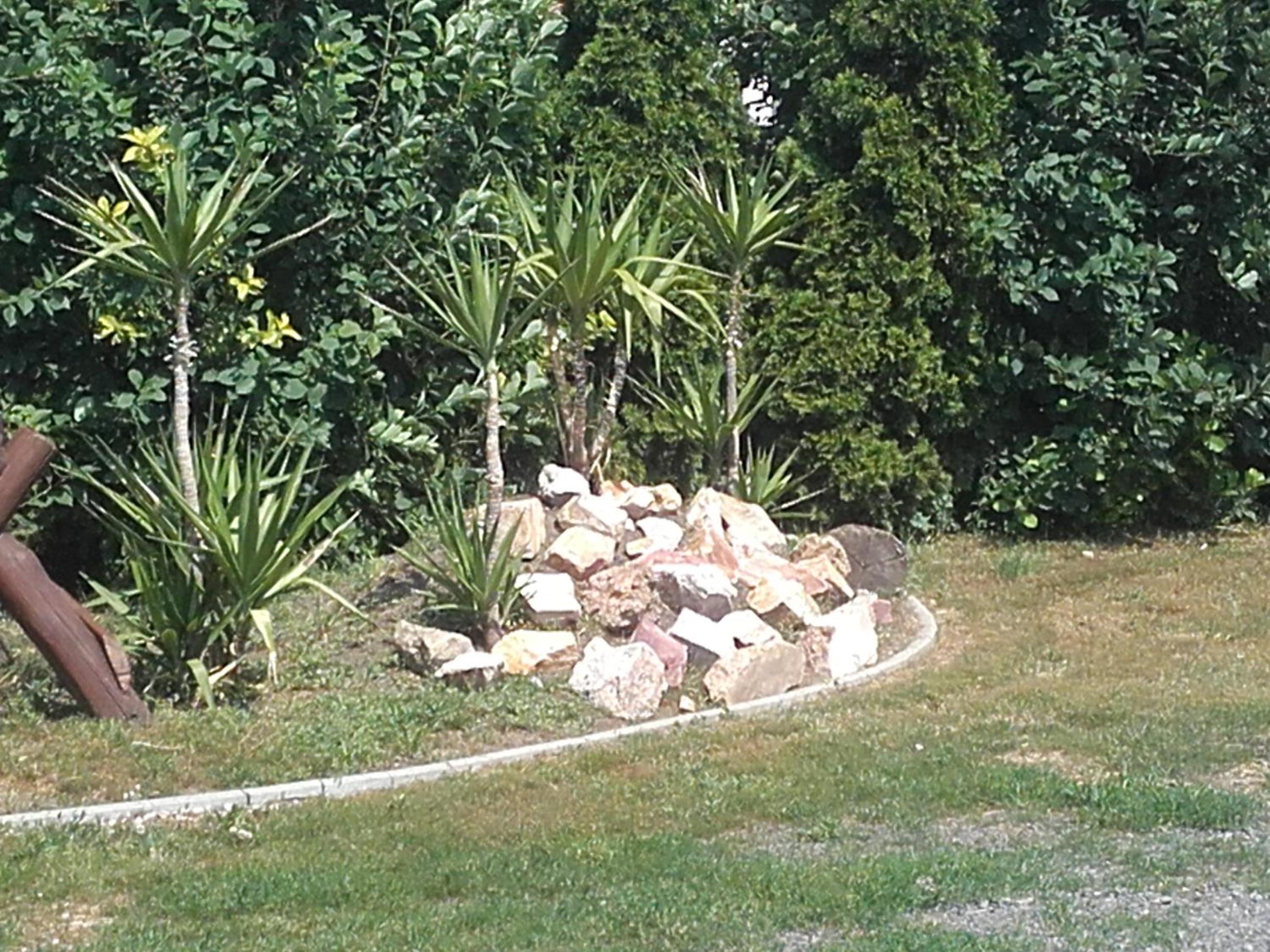 Photo 30