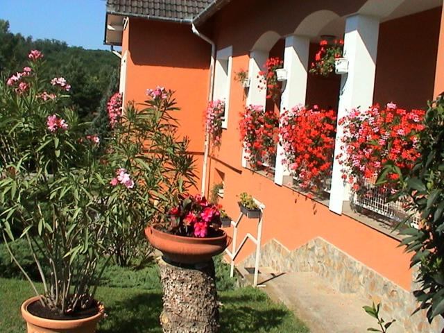 Photo 28