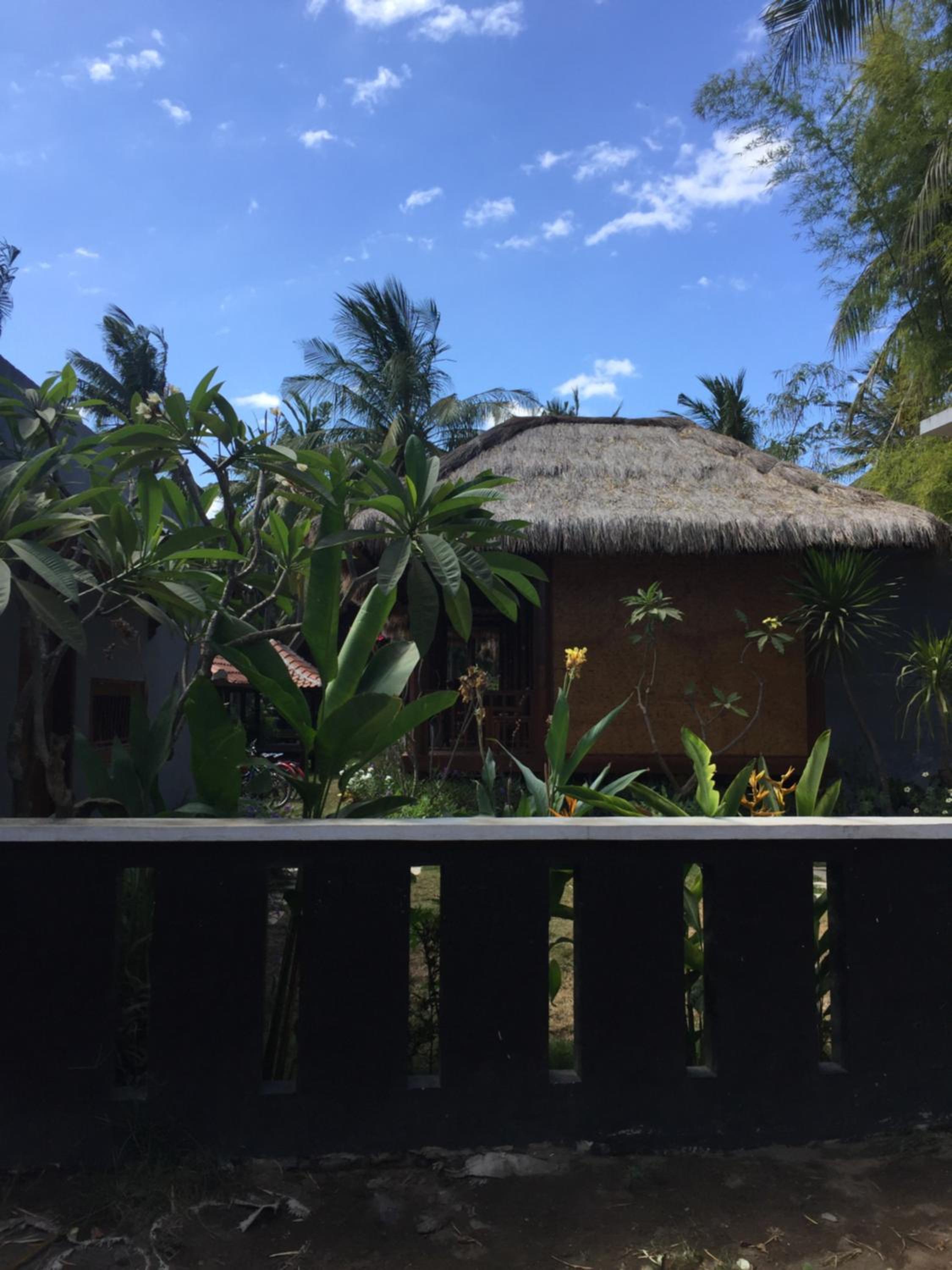 Photo 18