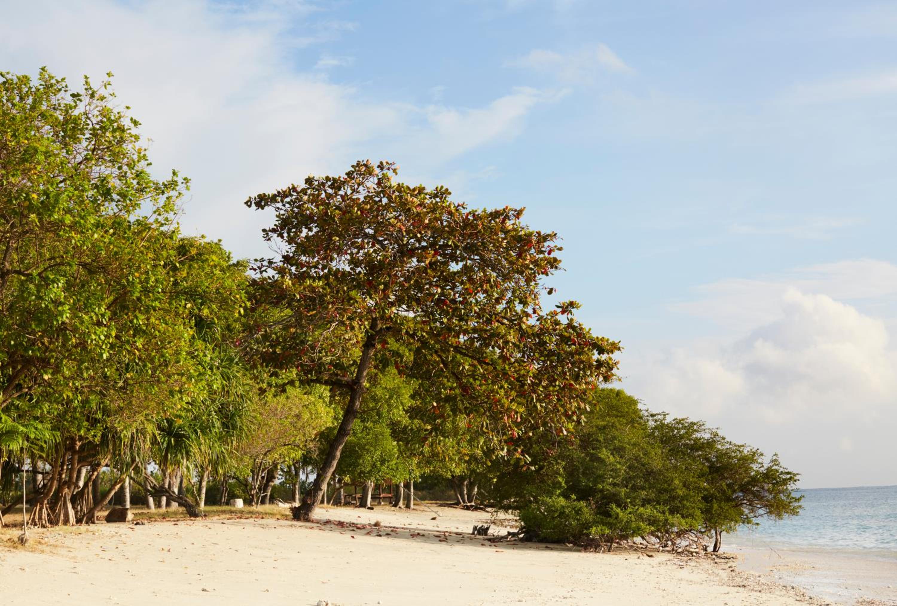 Villa Selalu Gili Gede