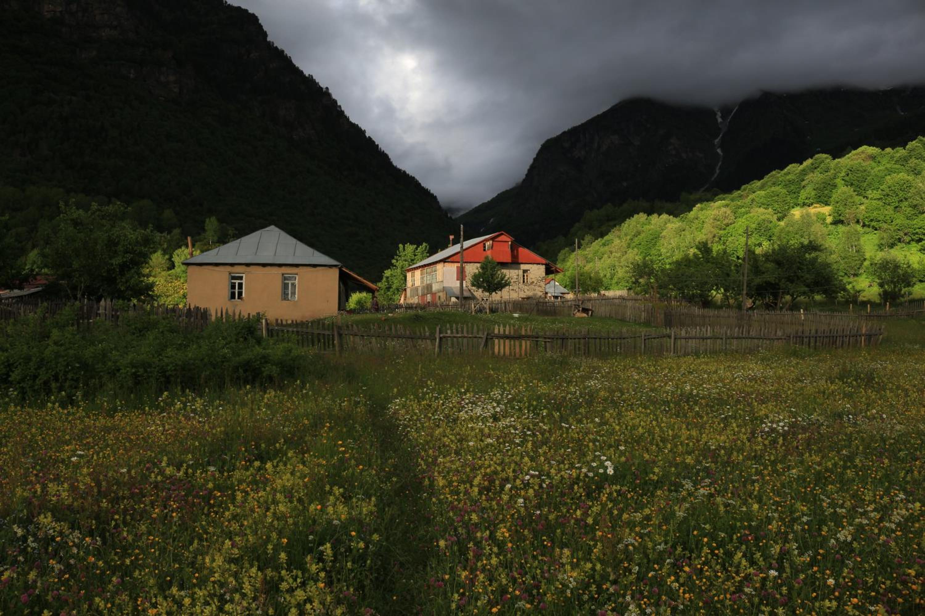 Photo 20
