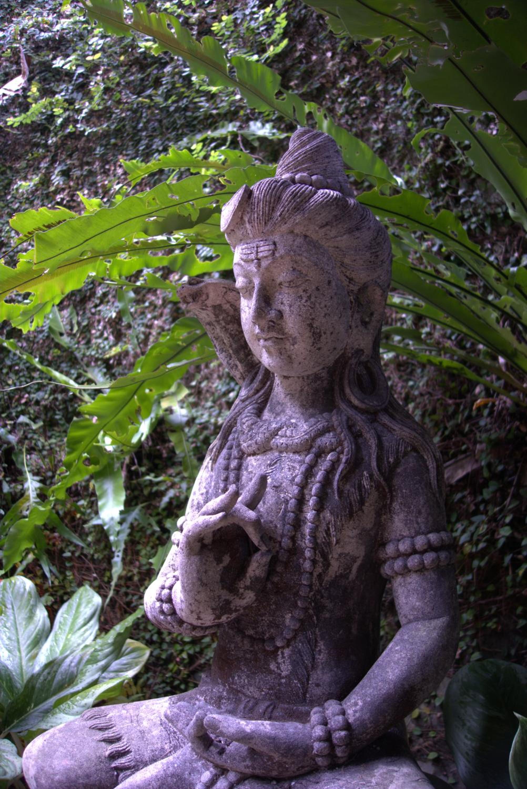 Photo 42