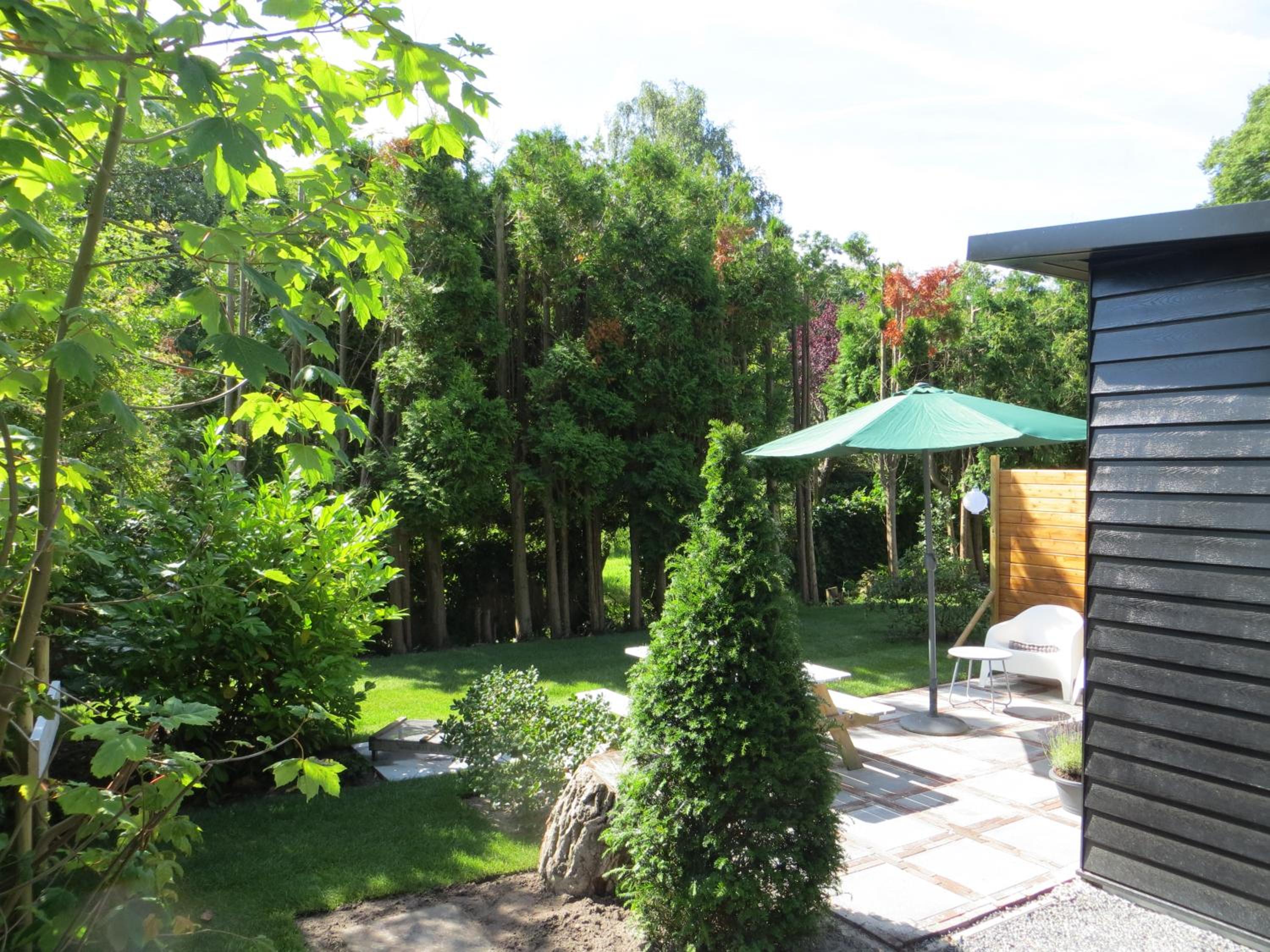 Zen in Schoorl view 3