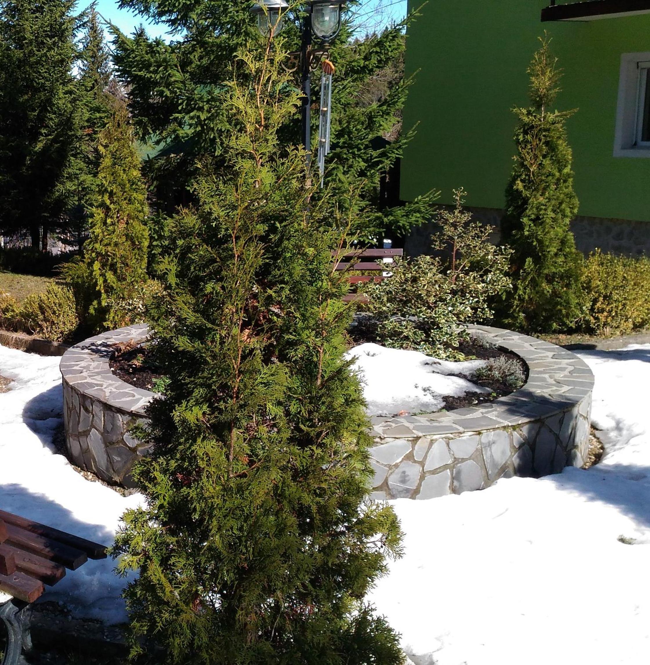 Photo 39