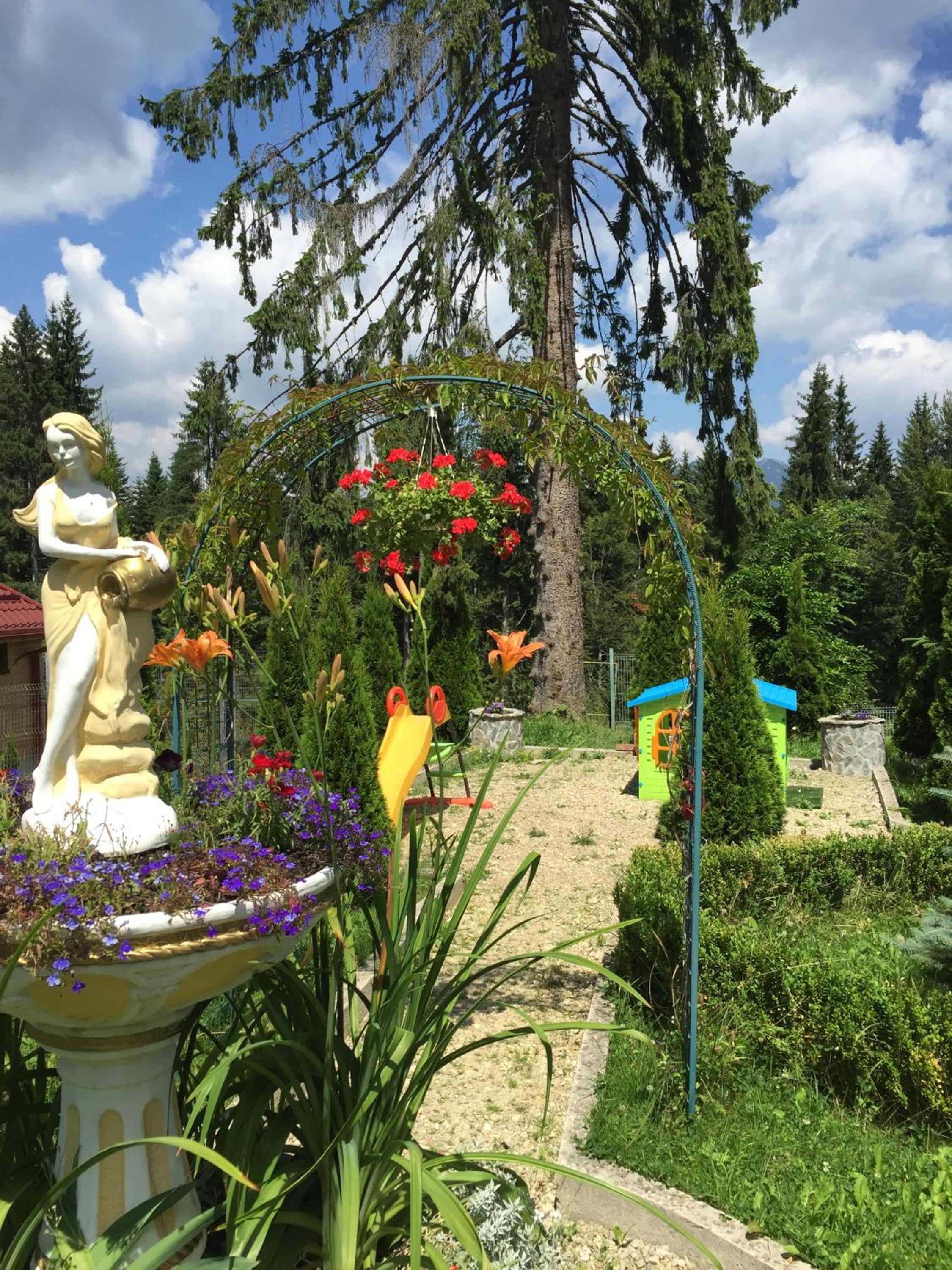 Photo 49