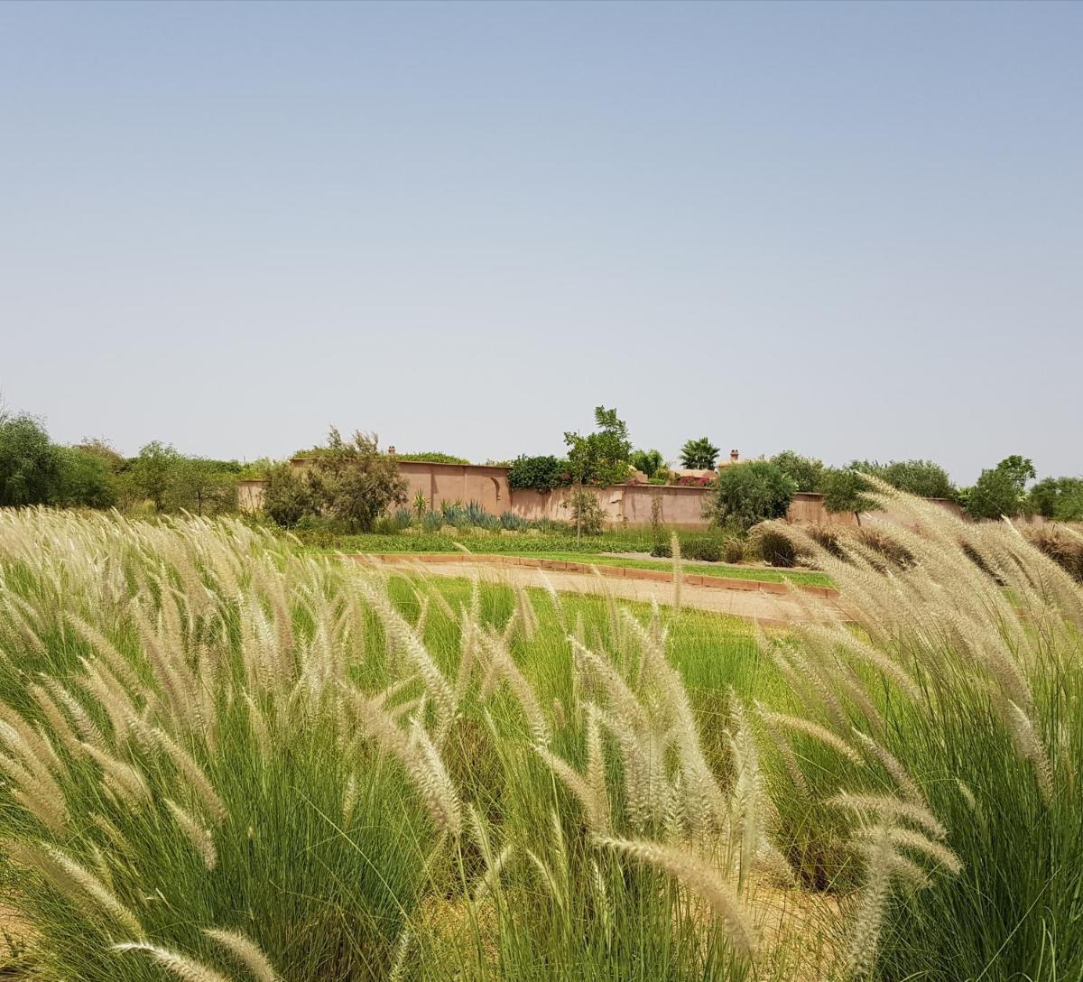 Les Jardins De Touhina