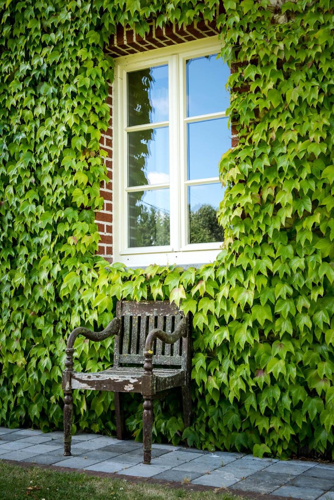 B&B Haut Brûly