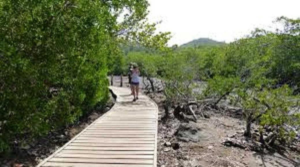 le petit mont vert, photo 24