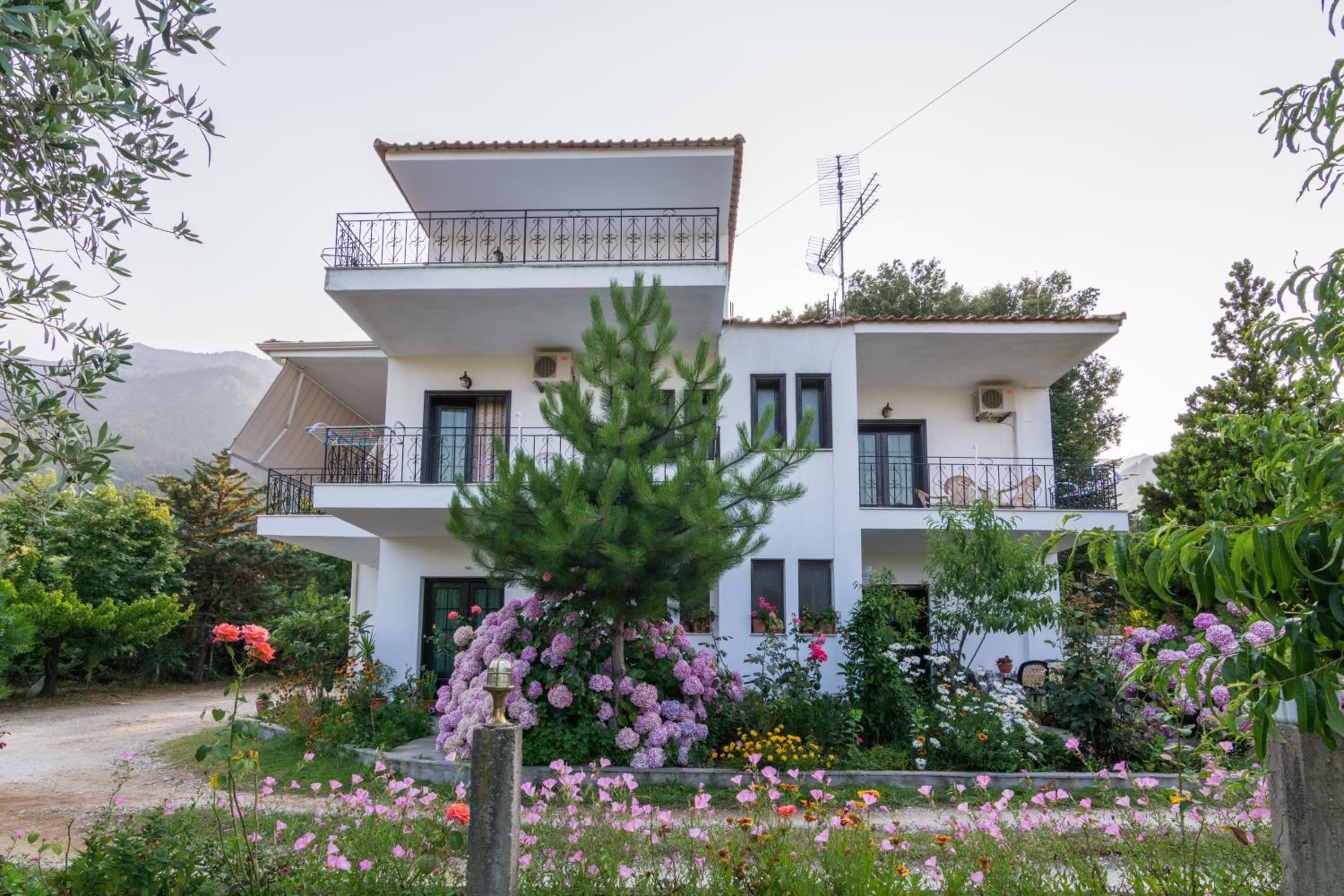 Studios Vasilia
