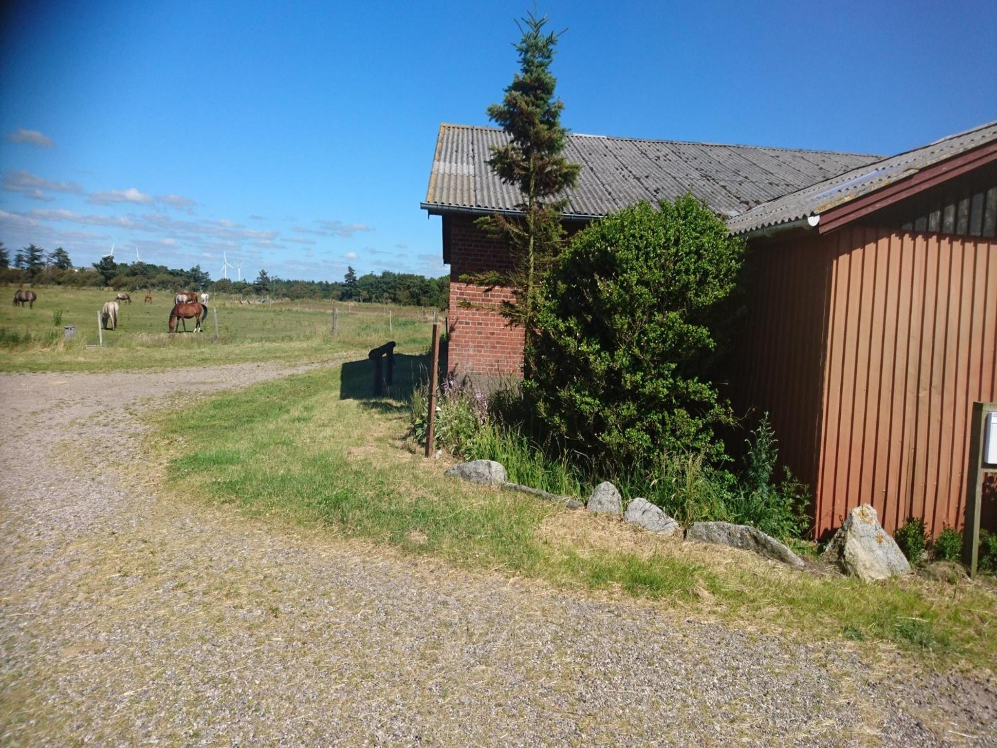 Photo 23