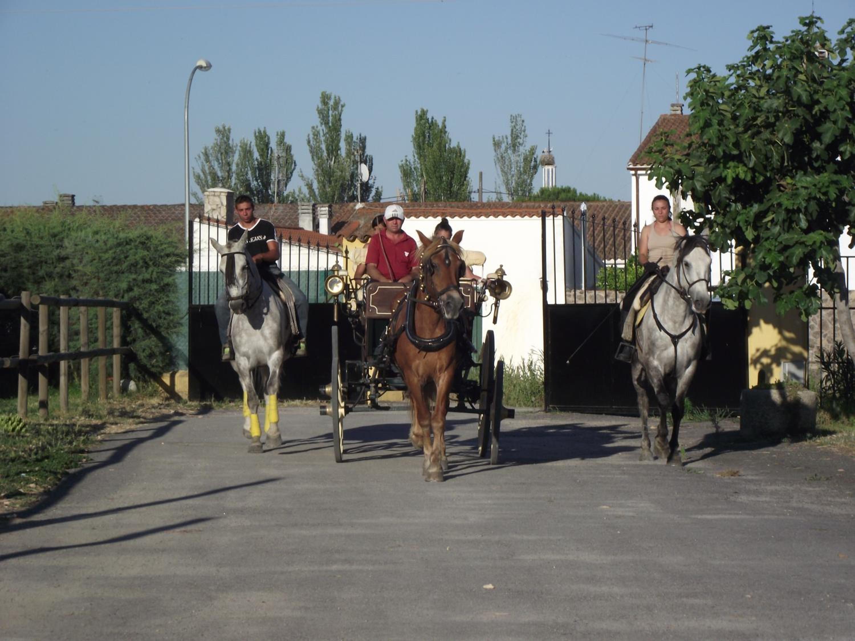 Photo 47