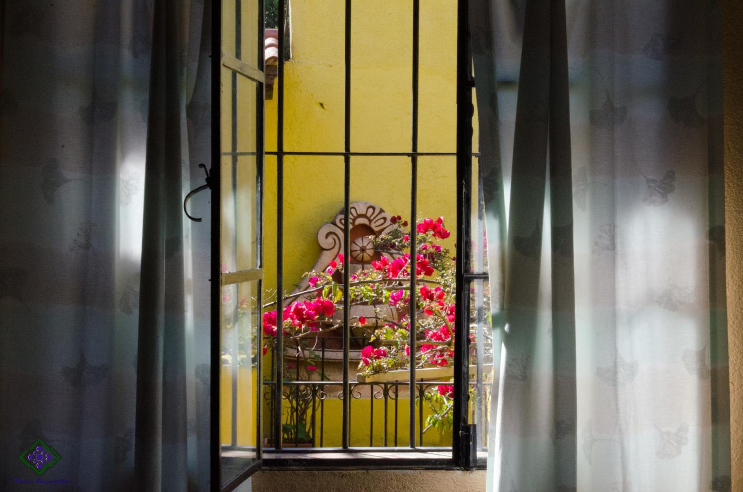 Maison Bougainvillea