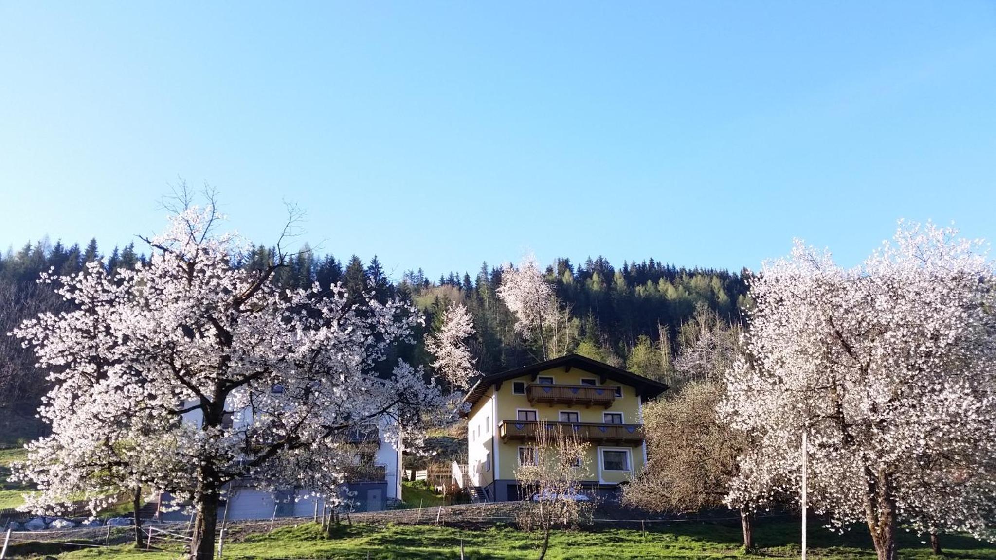 Ferienhaus Karin