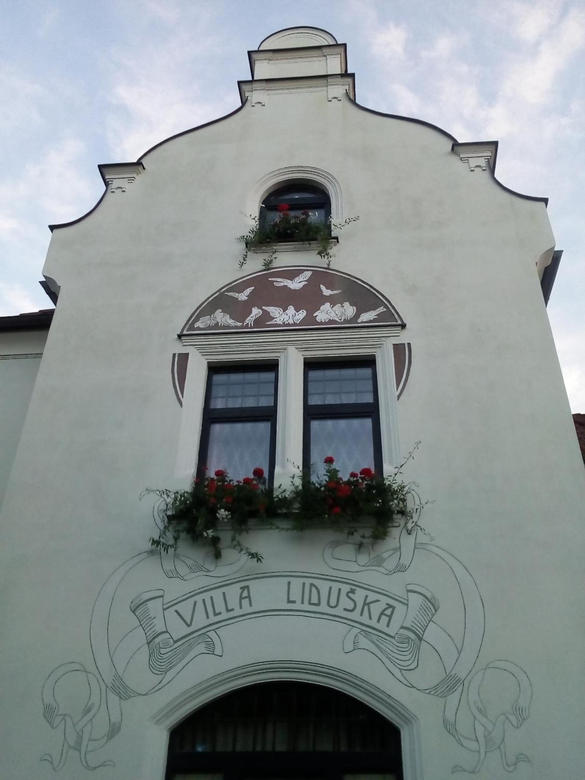 Villa Liduška s kavárnou