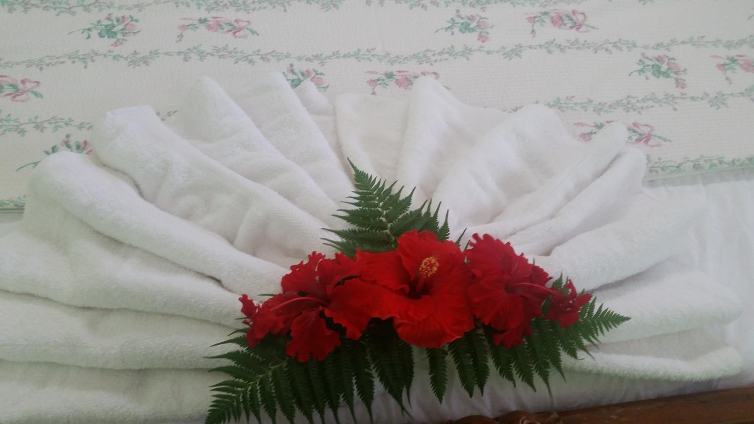 Samoa Home