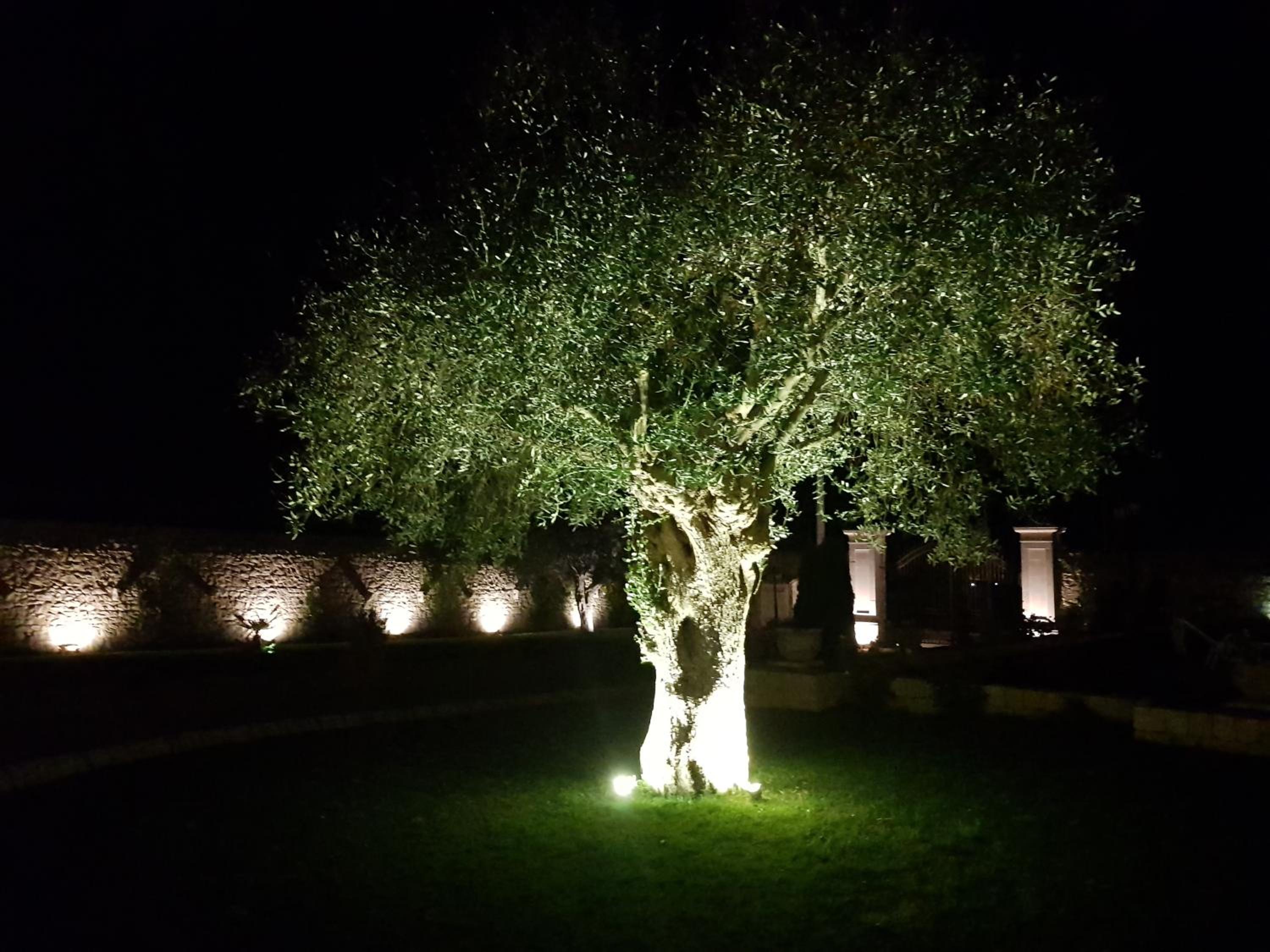 Casale 1821
