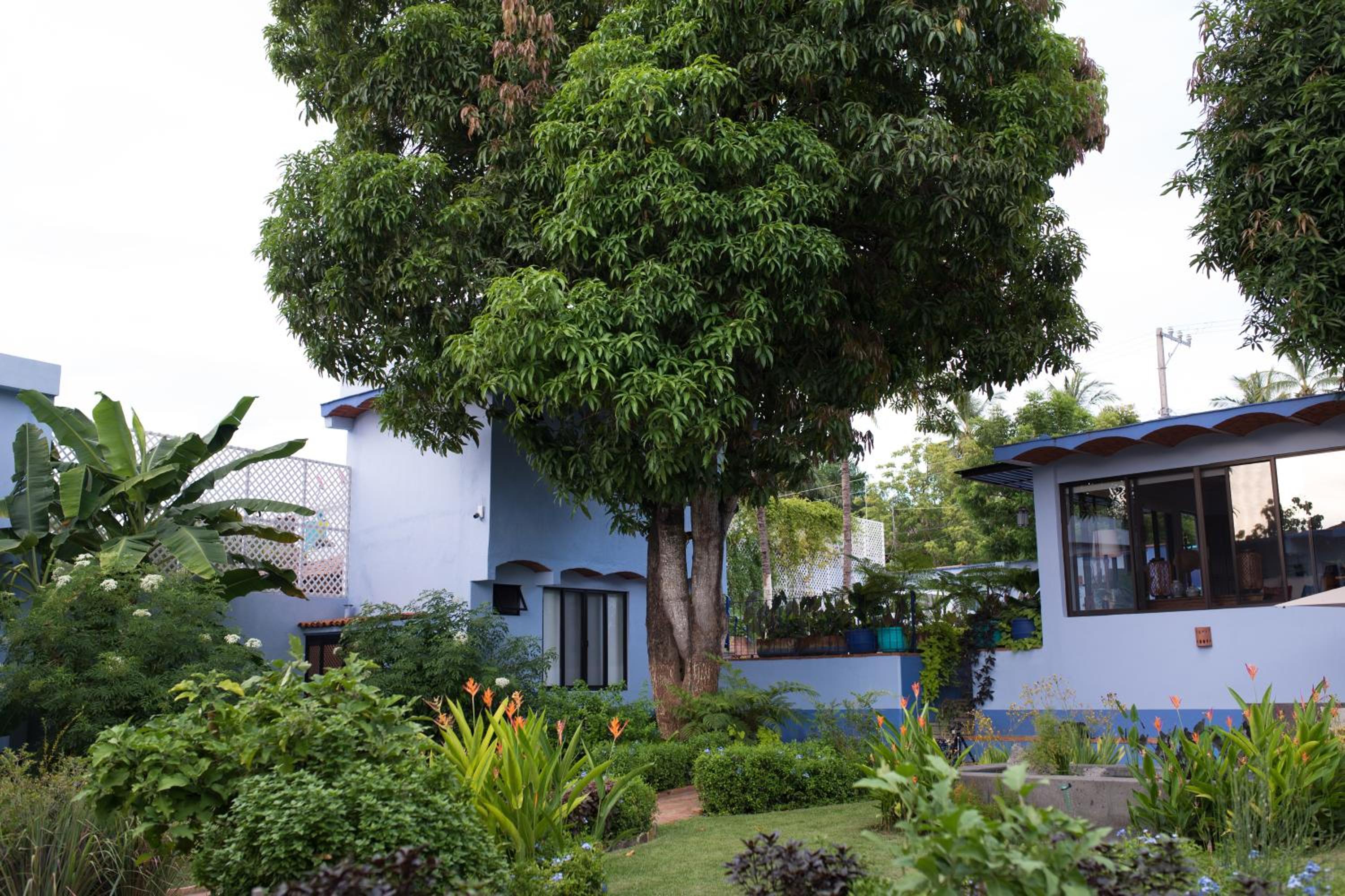 Casa Nawalli Pickleball Resort & Retreats Adults Only