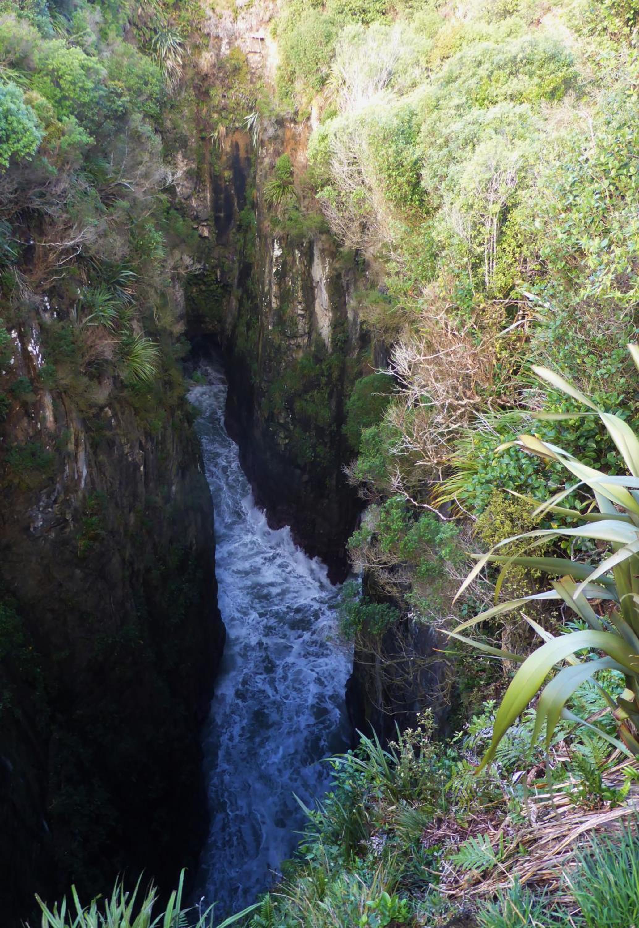 Surat Bay Lodge, Motel and Backpackers
