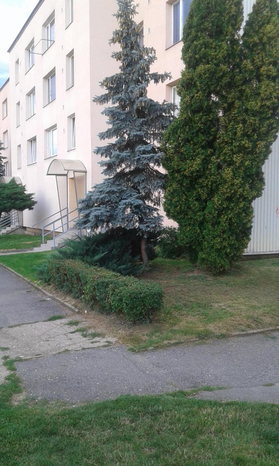 Apartman Ortenova 74 view 2