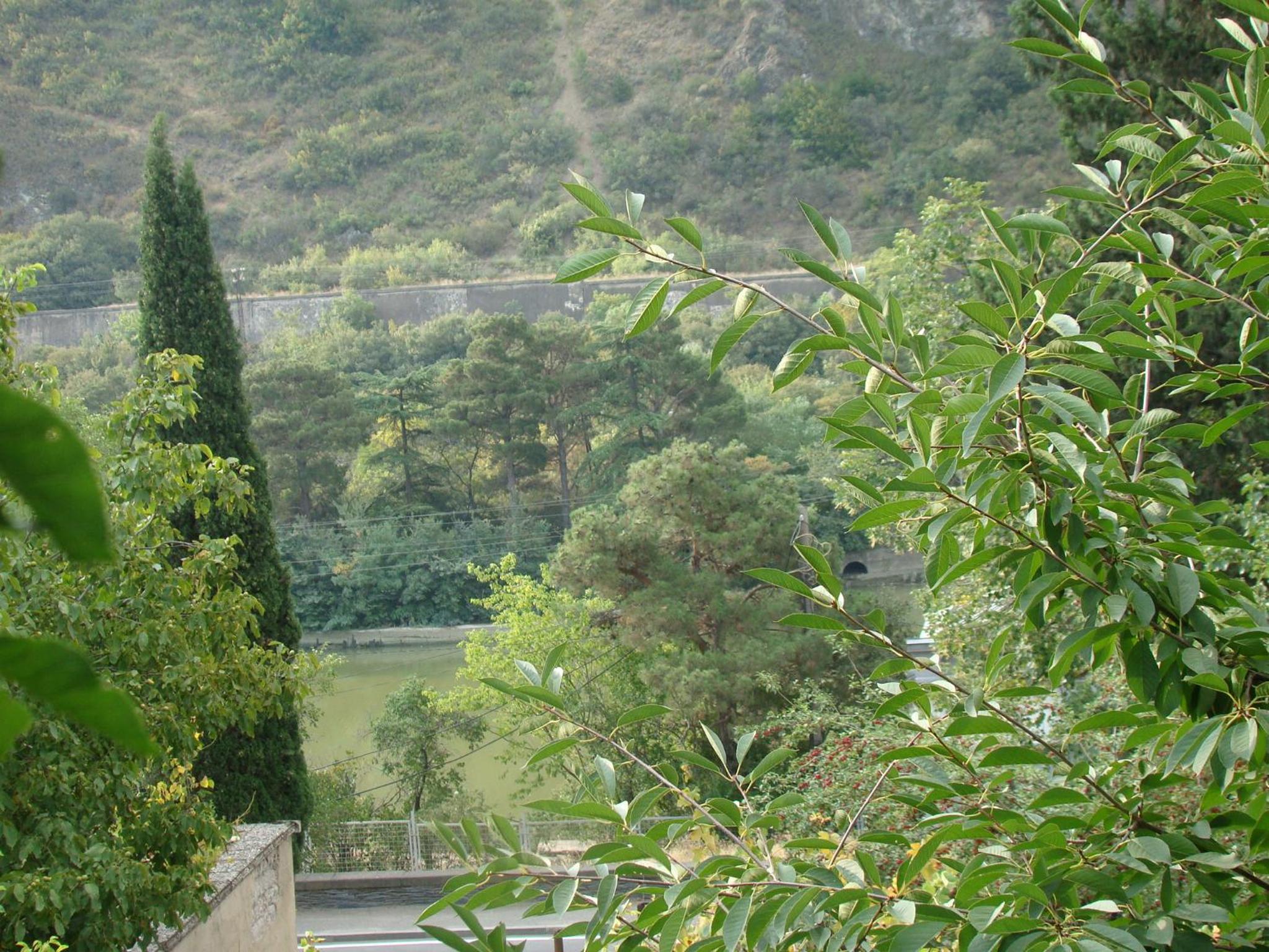 Photo 46