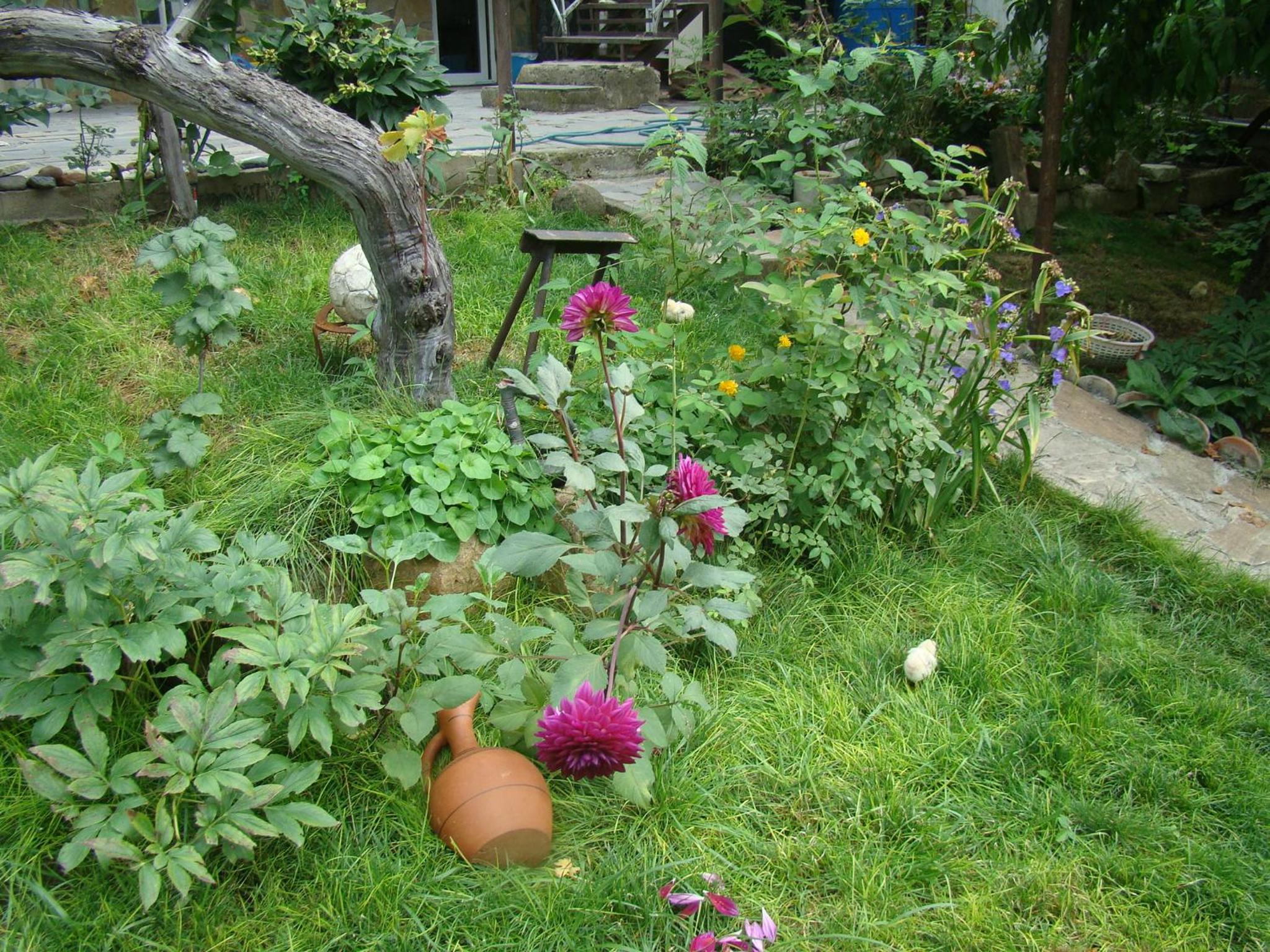 Photo 53
