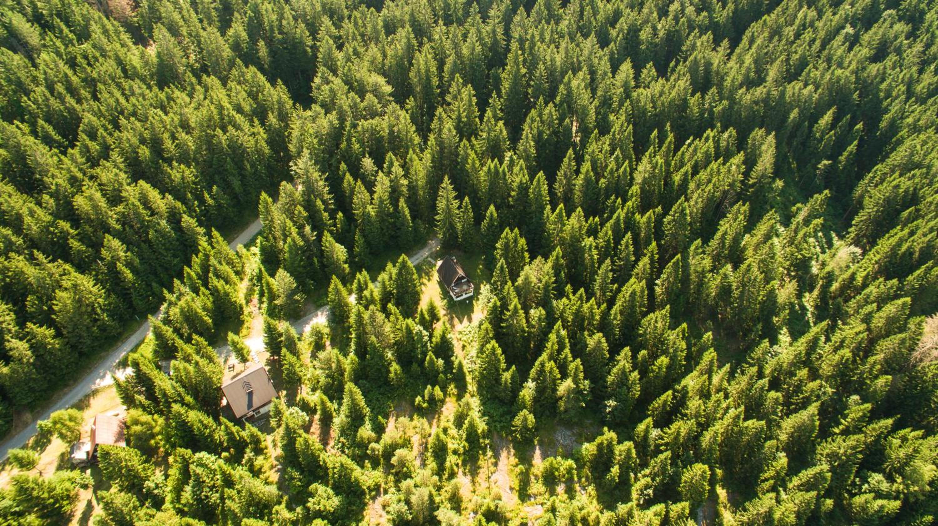 Holiday Home Kuća Ulaga view 3