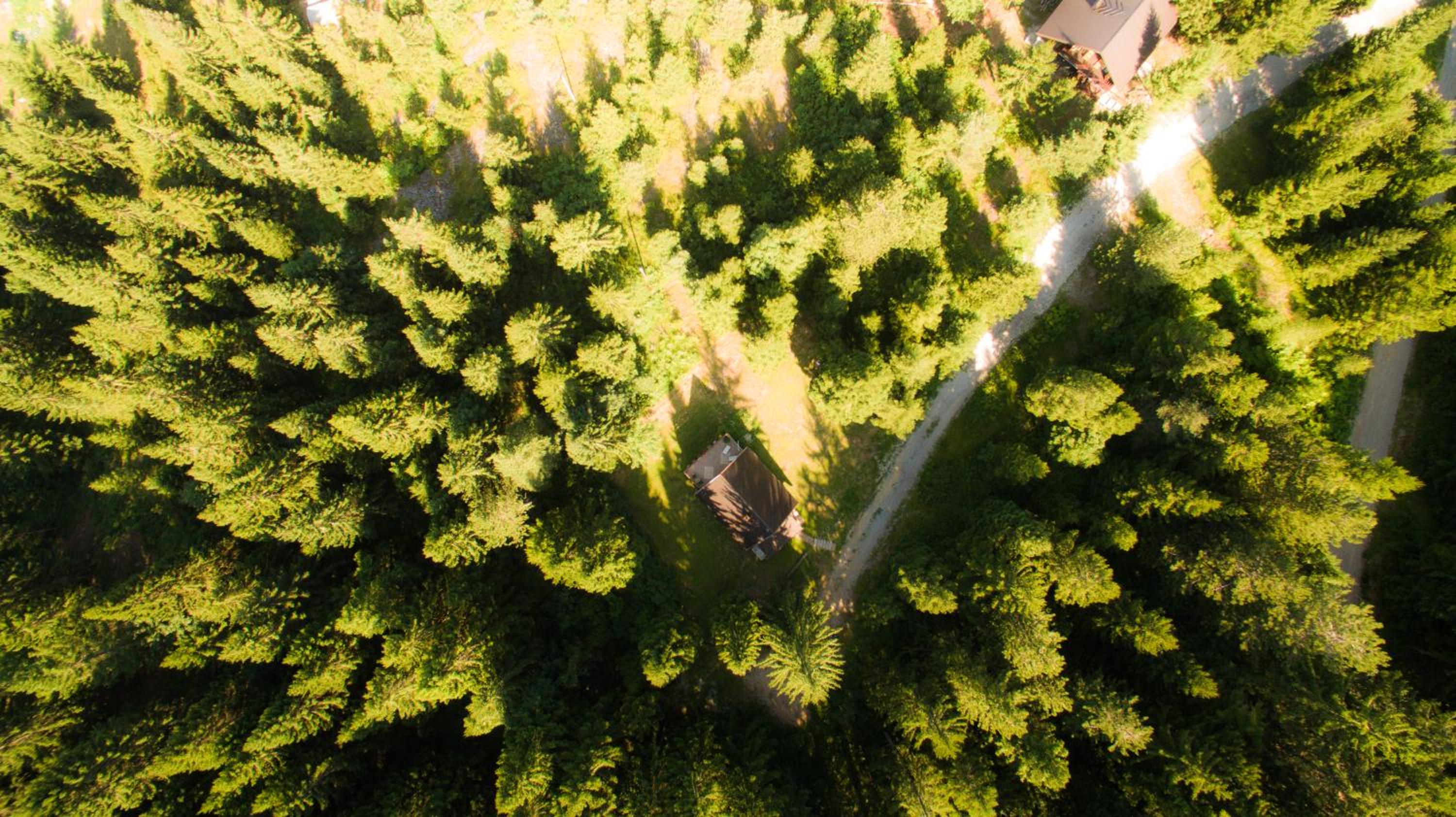 Holiday Home Kuća Ulaga view 4