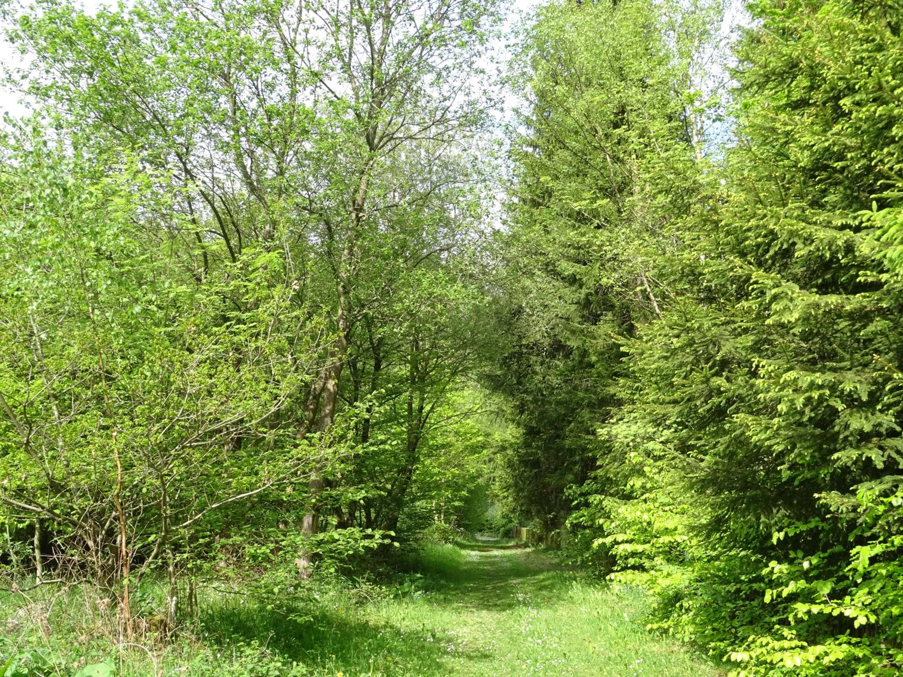 Photo 46