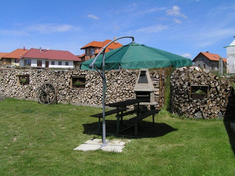 Apartmány holiday Frymburk view 5