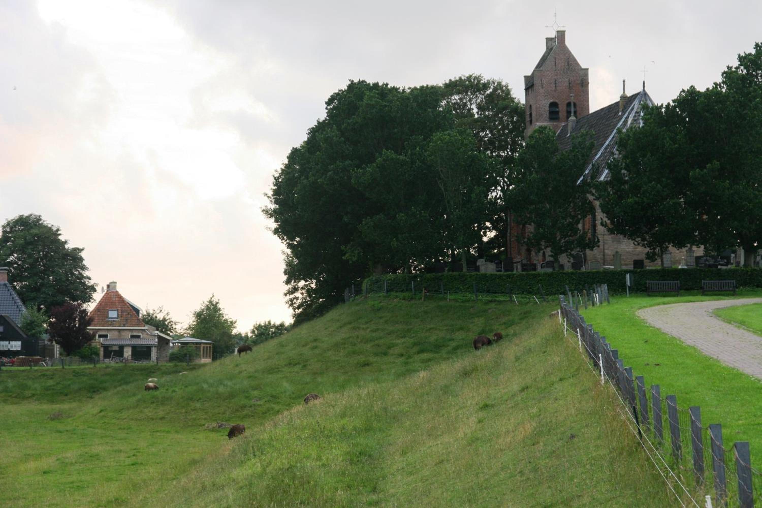 Countryside Eco Natuurhuisjes