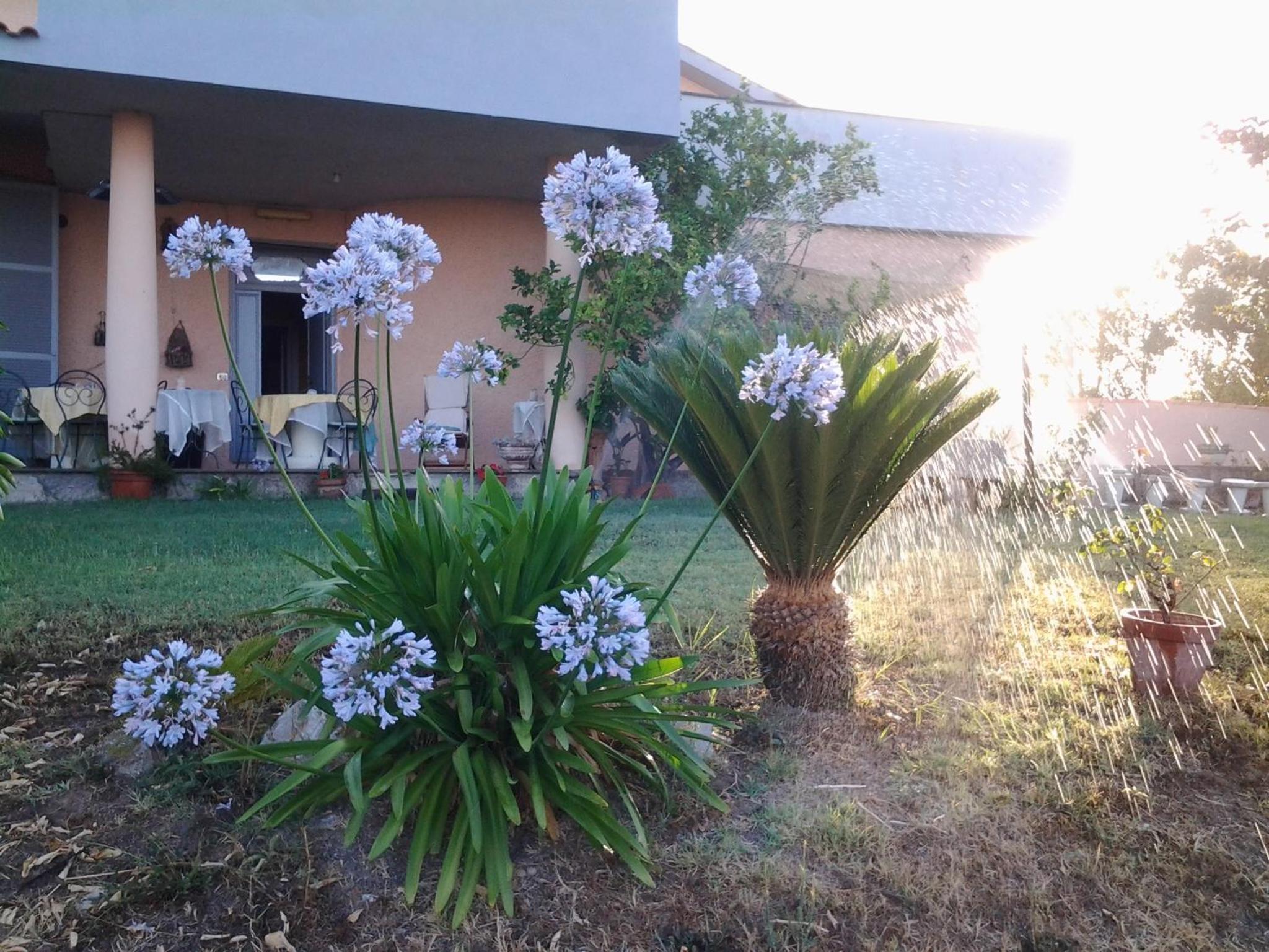 Photo 61