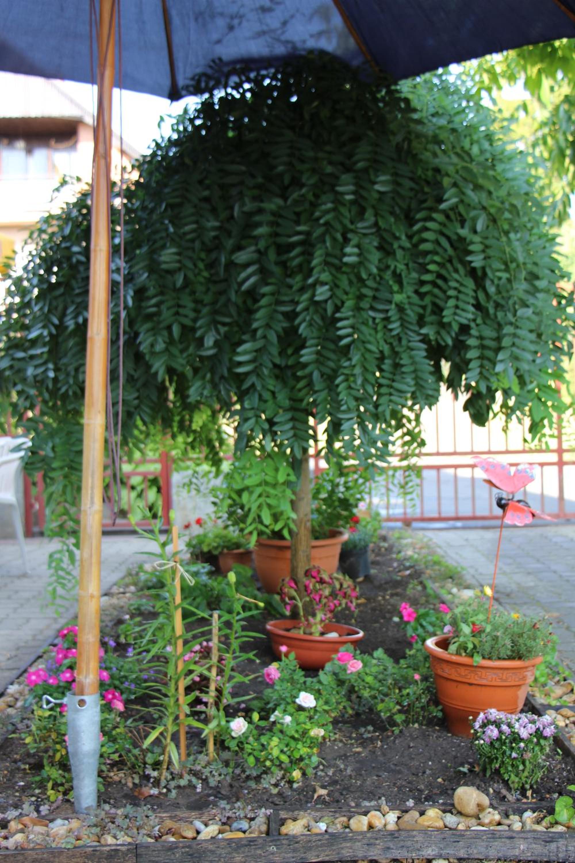 Photo 8