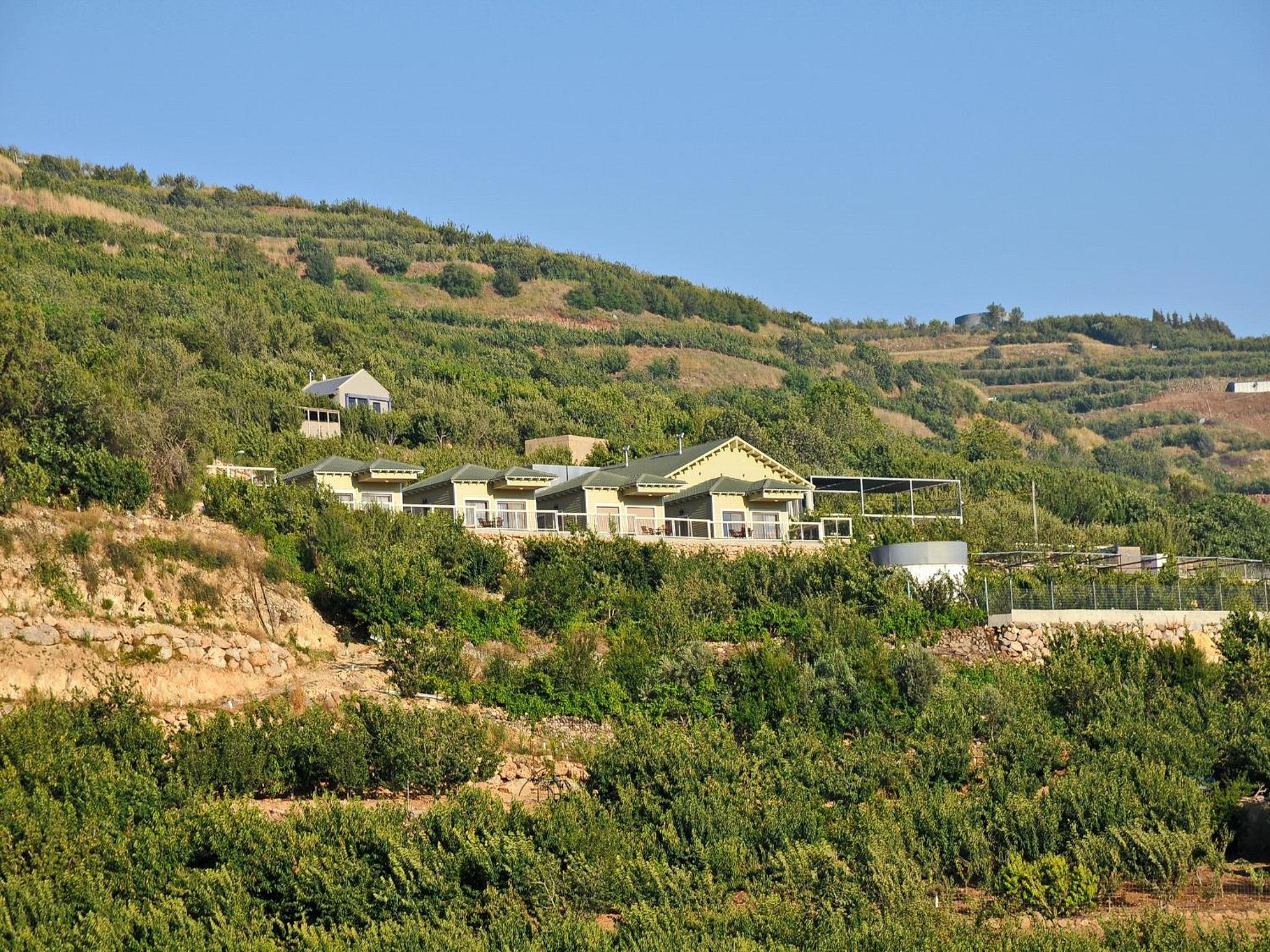 Photo 46
