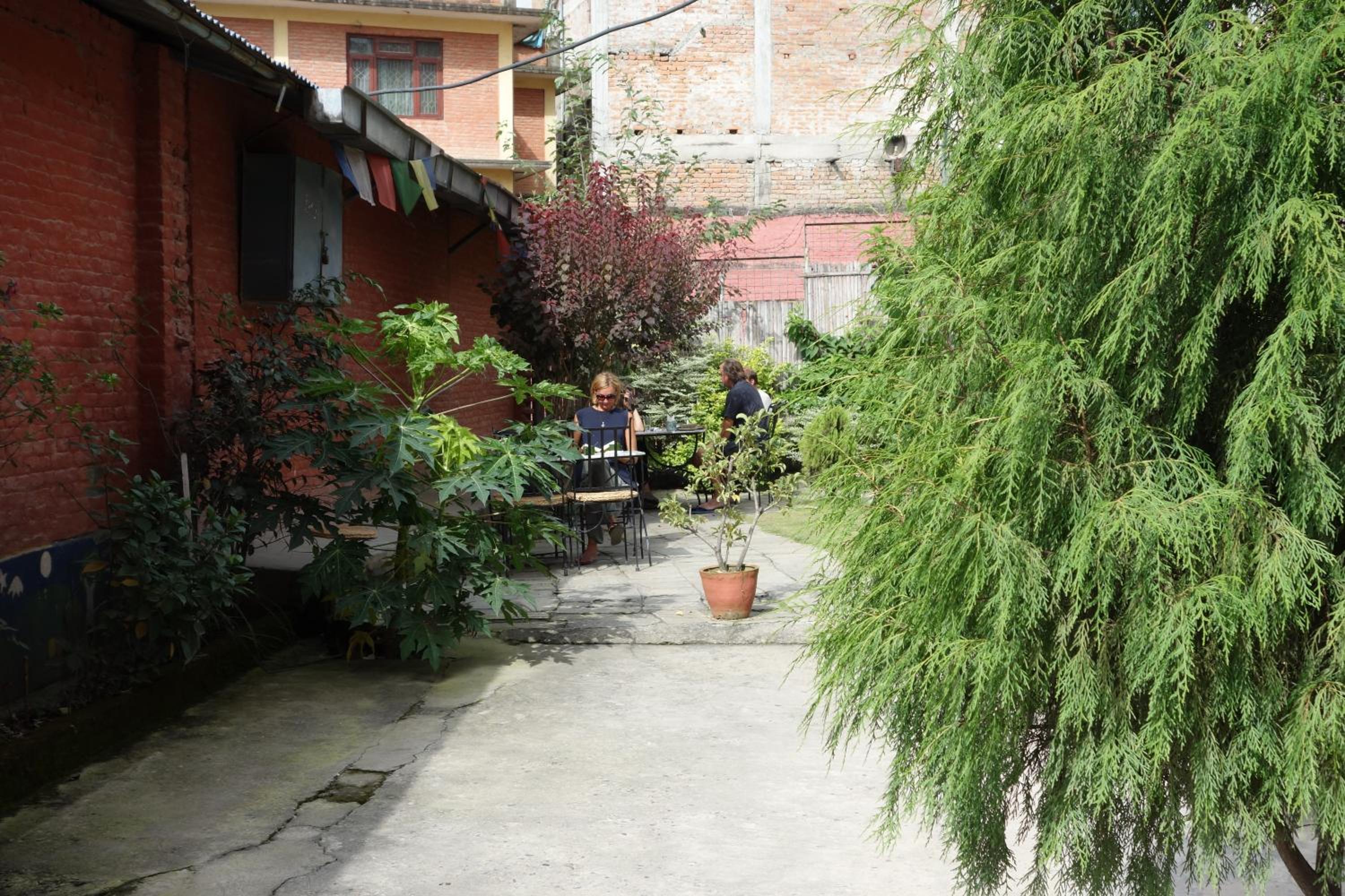 Photo 45