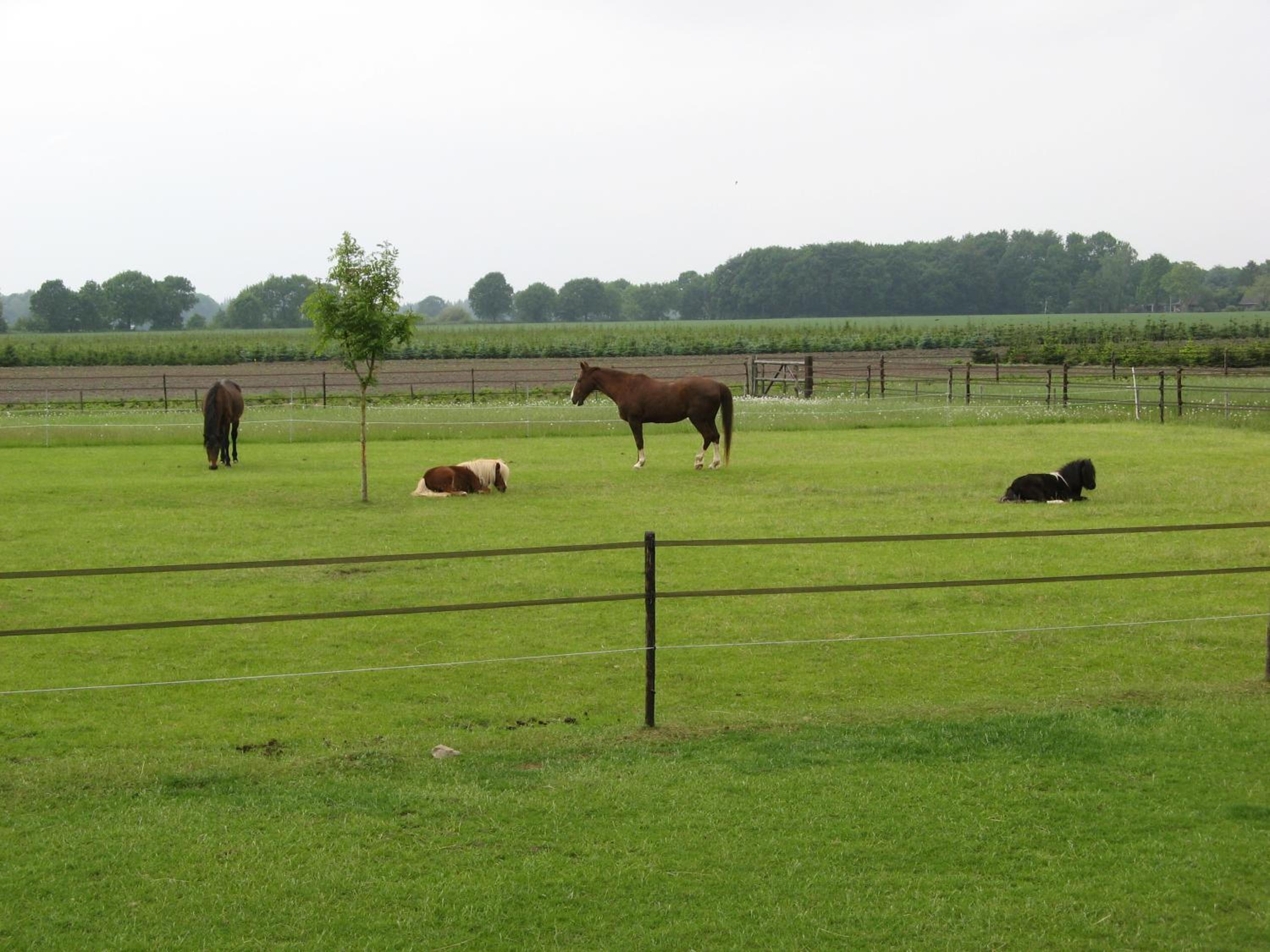 't Zwaluwennest view 2