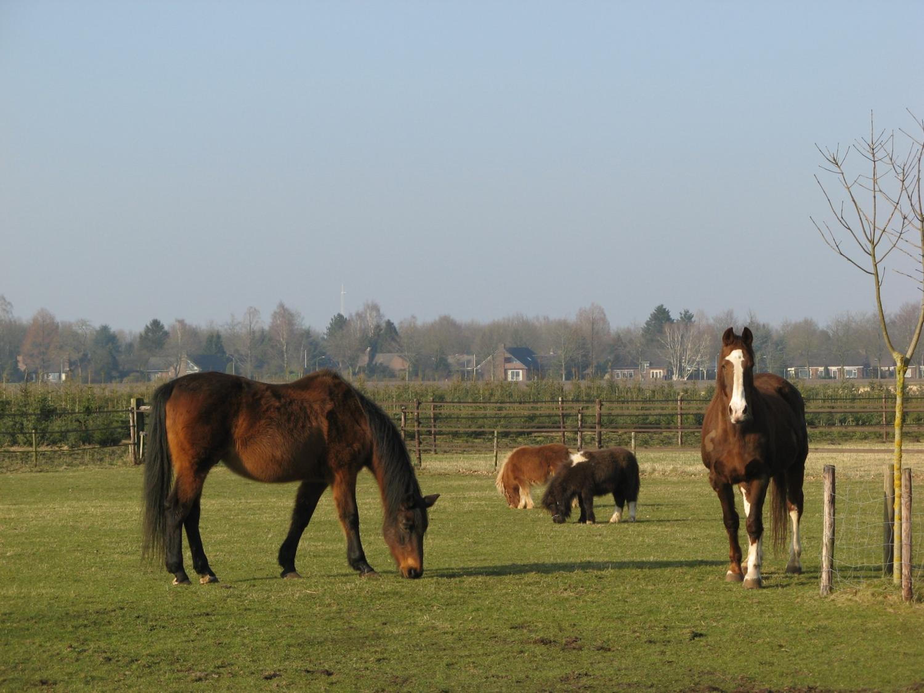 't Zwaluwennest view 3