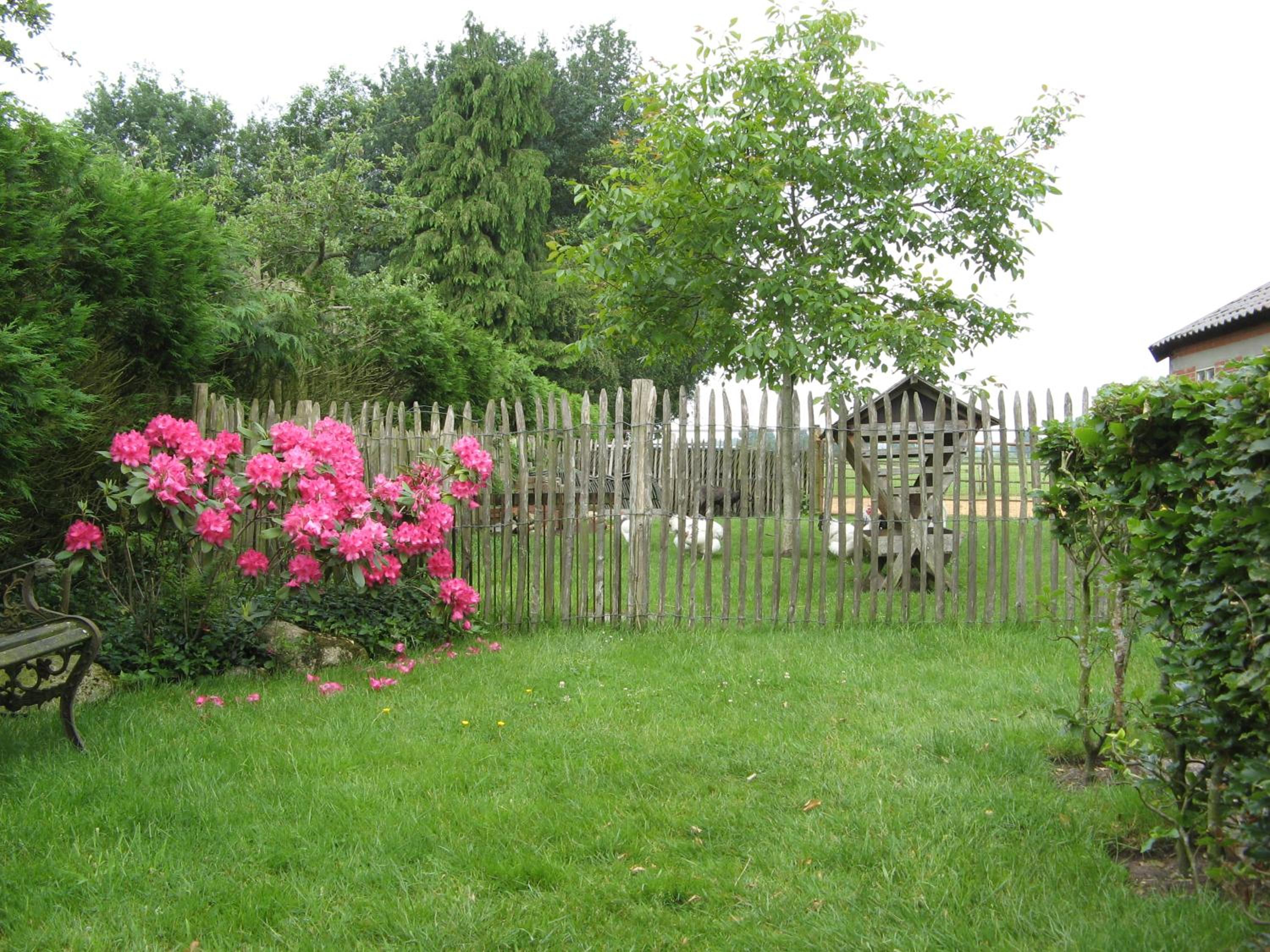Photo 26