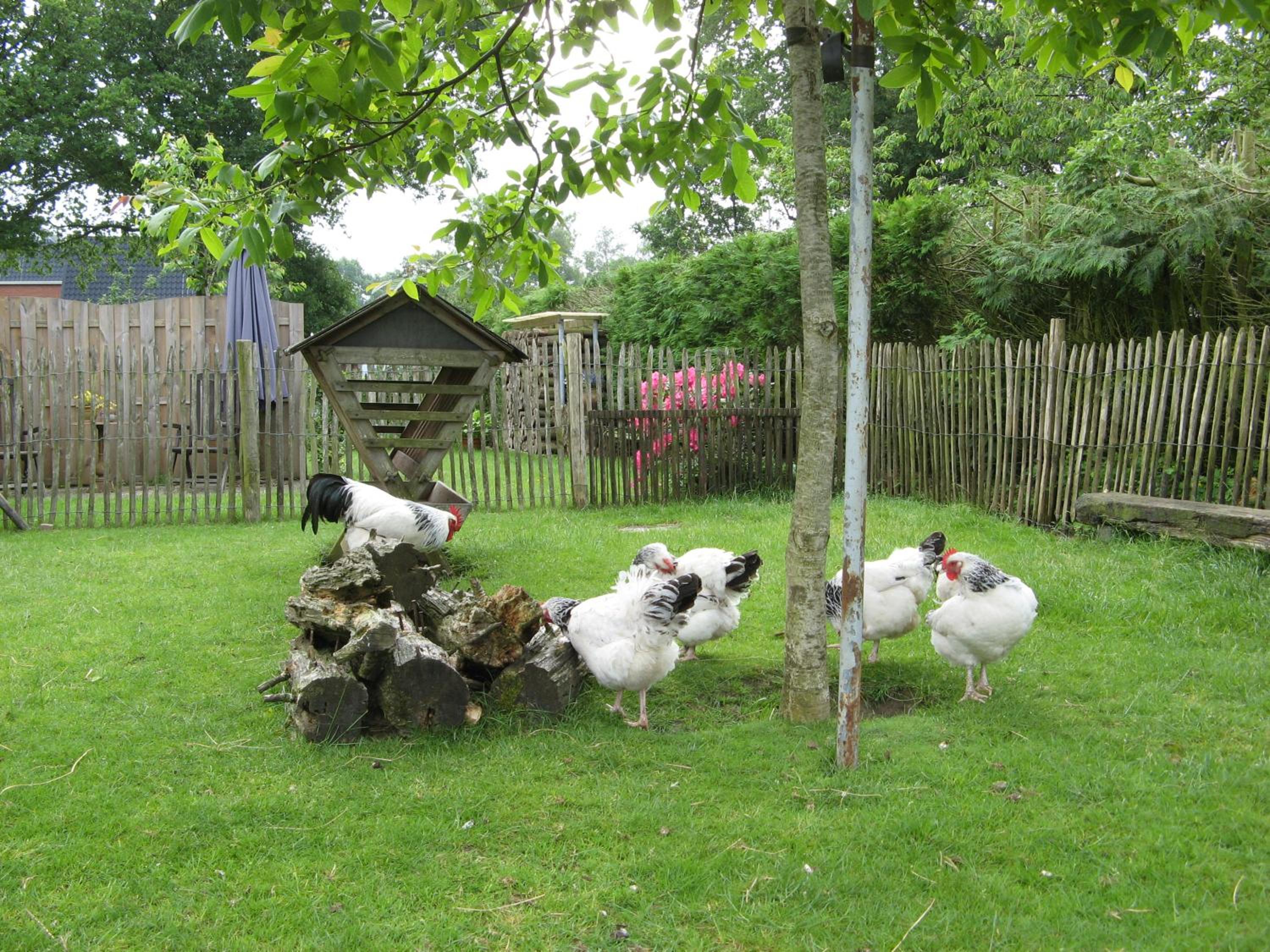 Photo 28