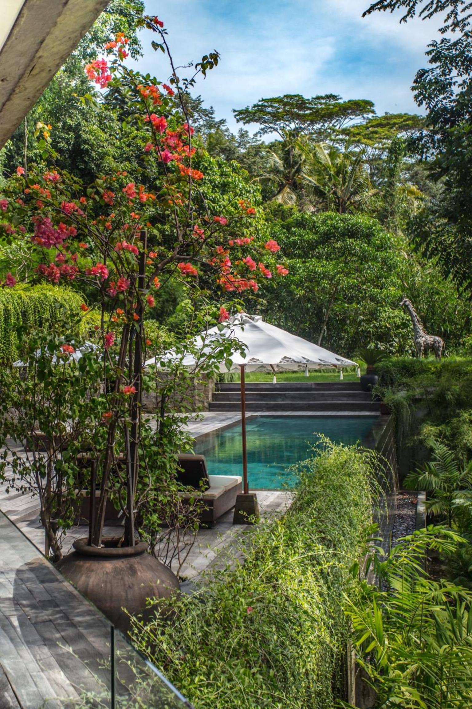 Chameleon Villa Bali