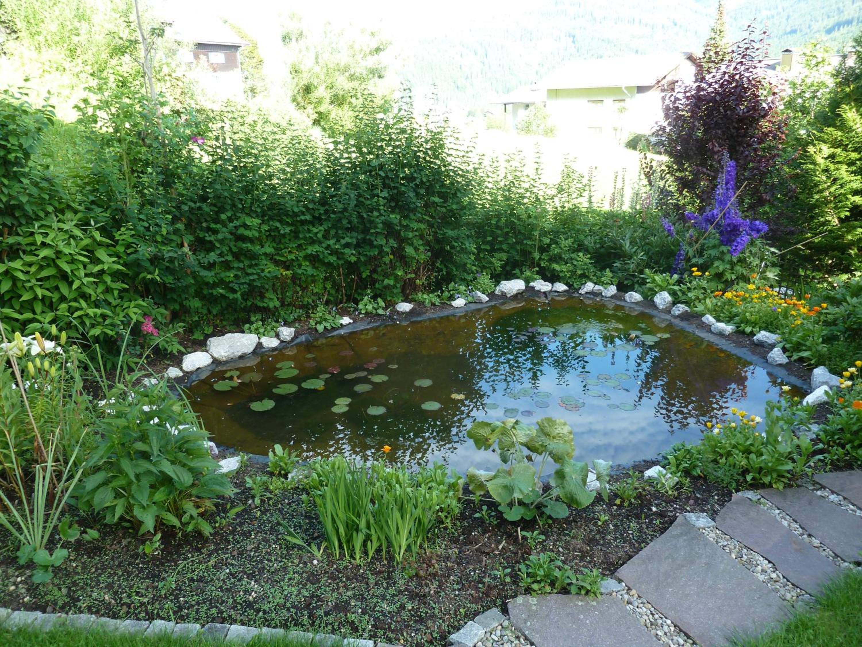 Photo 30