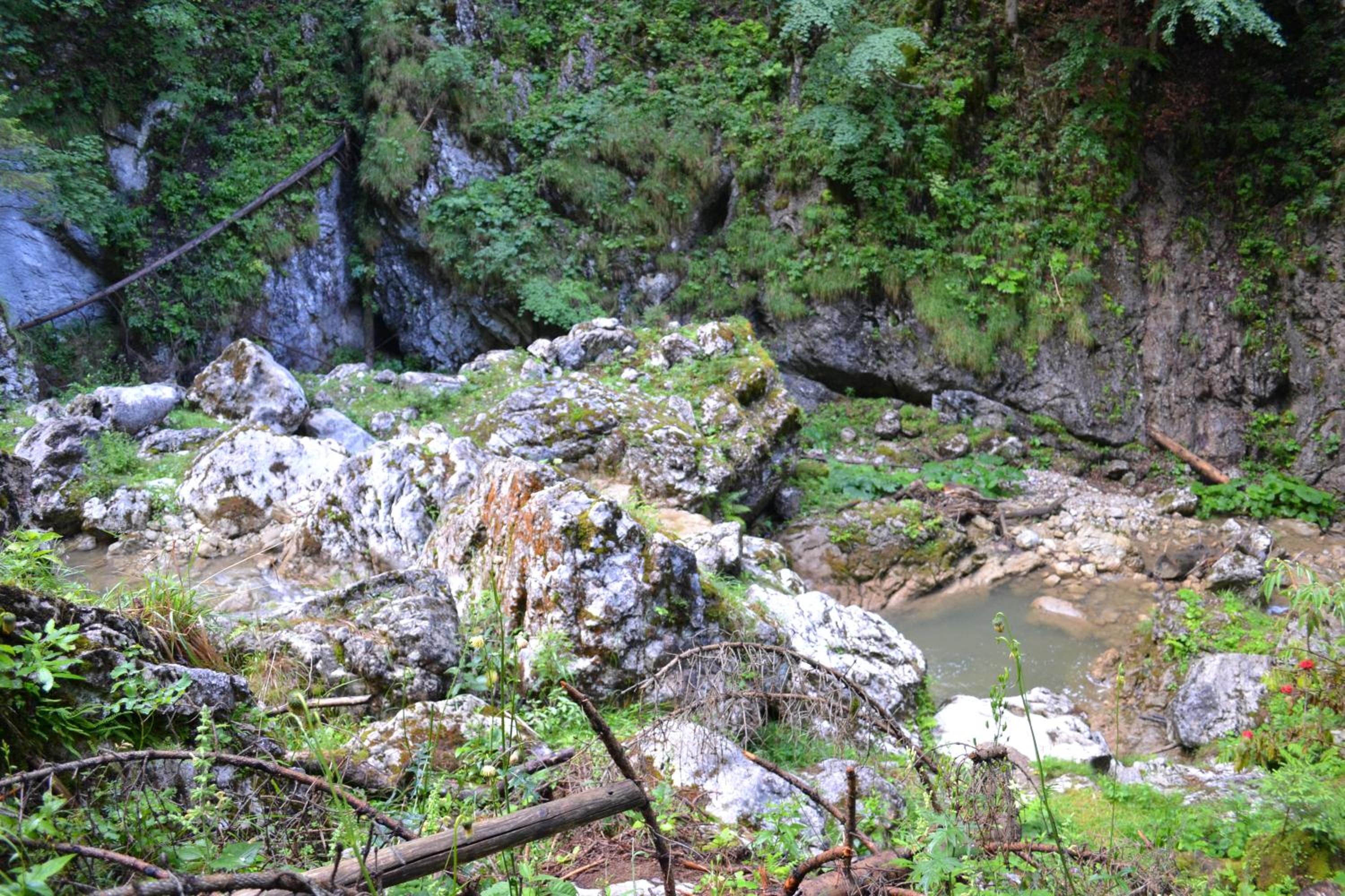 Pension Schweiger