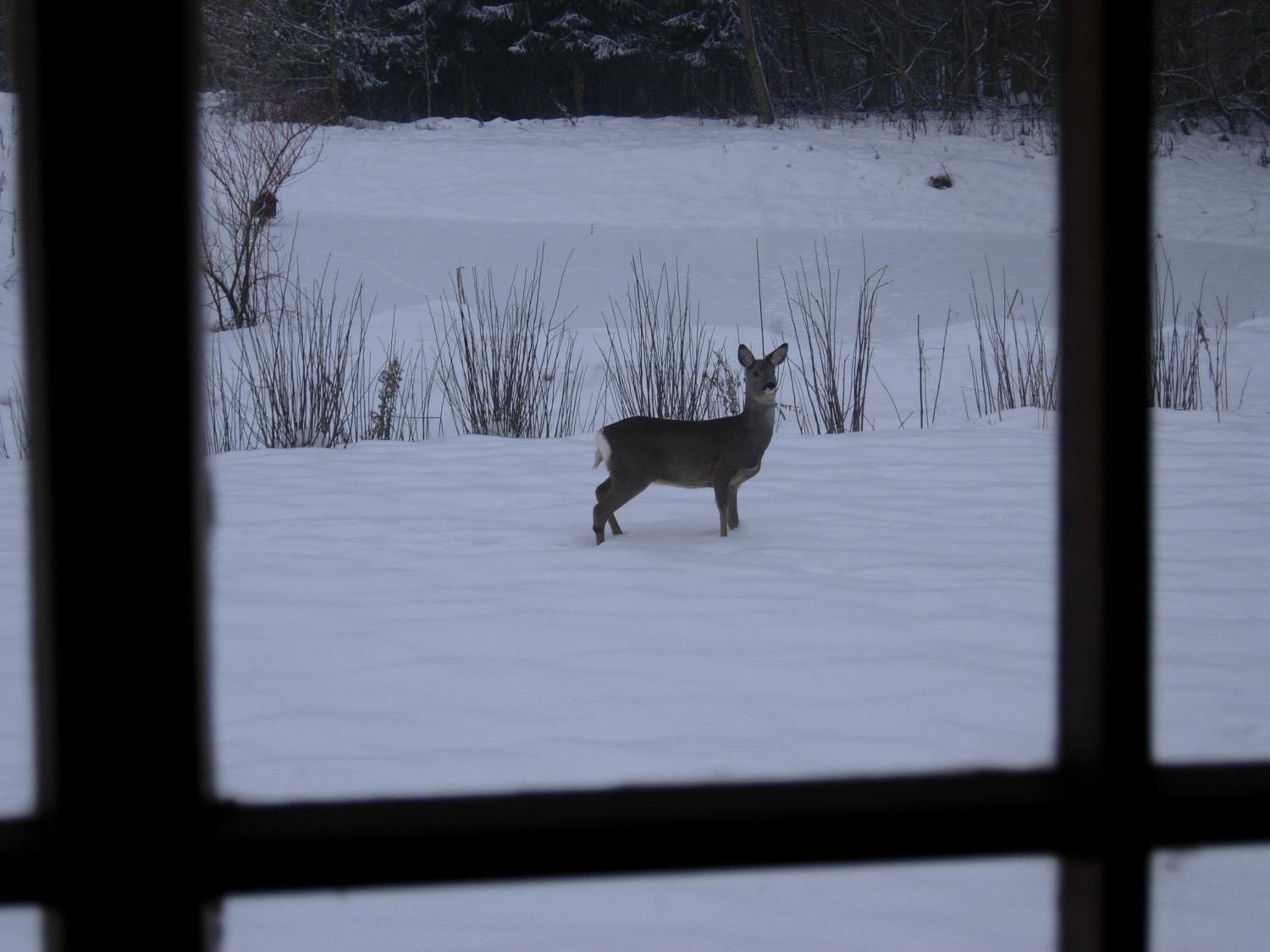 Heddahgaarden view 4