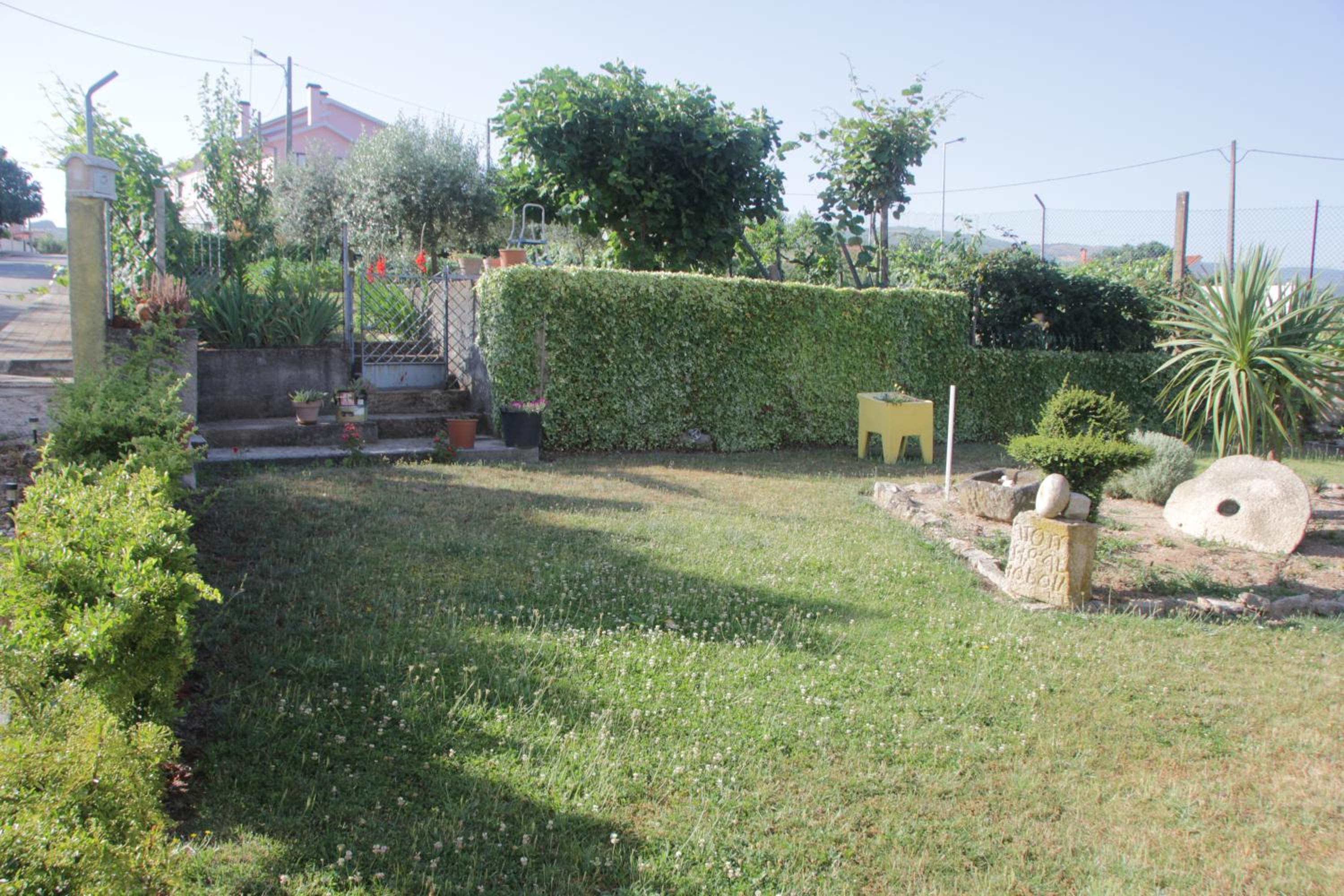 Photo 38