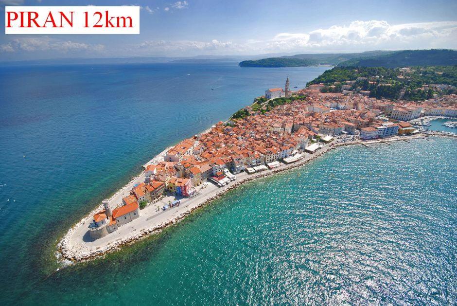 Apartmaji in Vinogradništvo Klobas view 4
