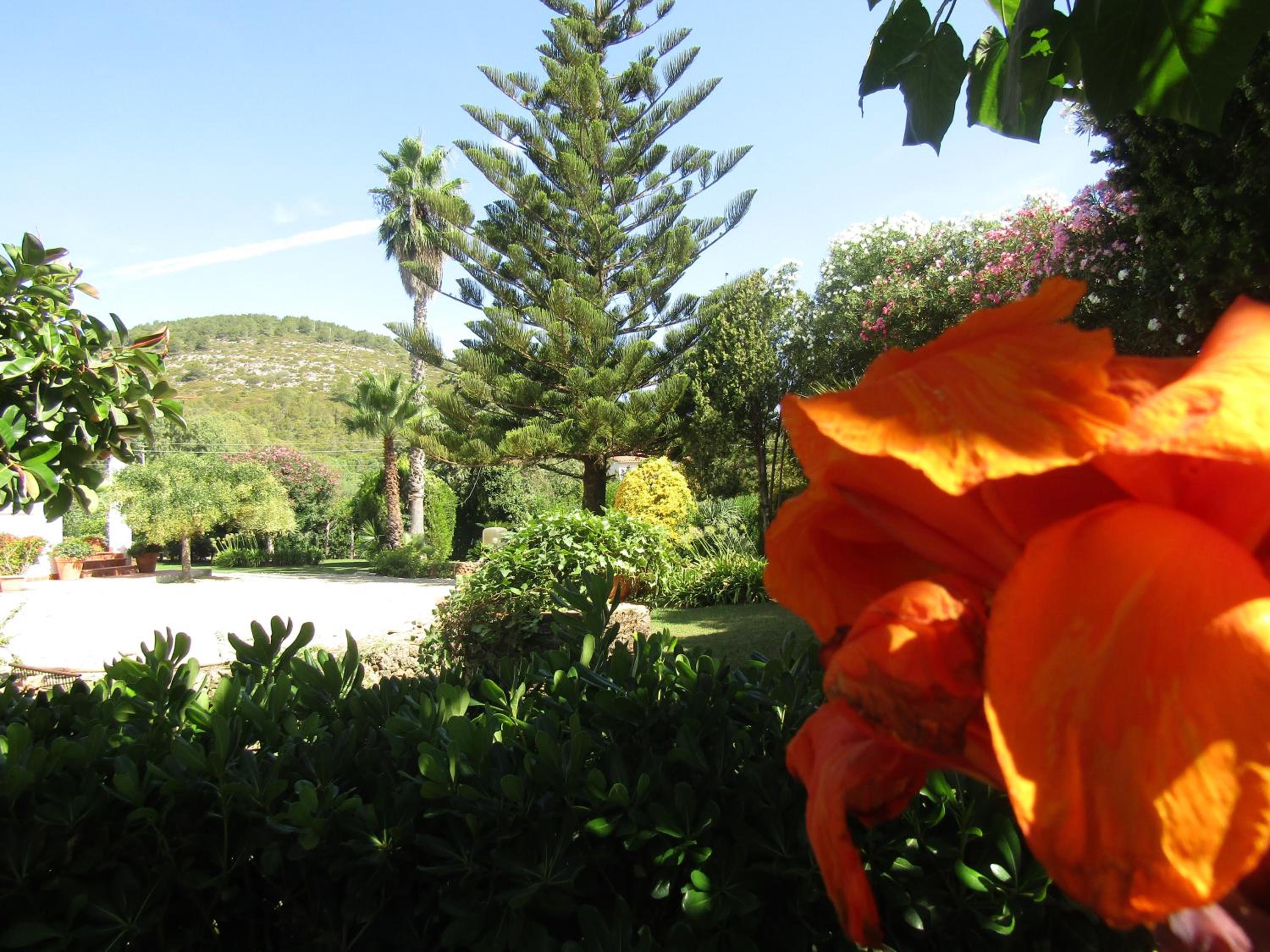 Photo 41