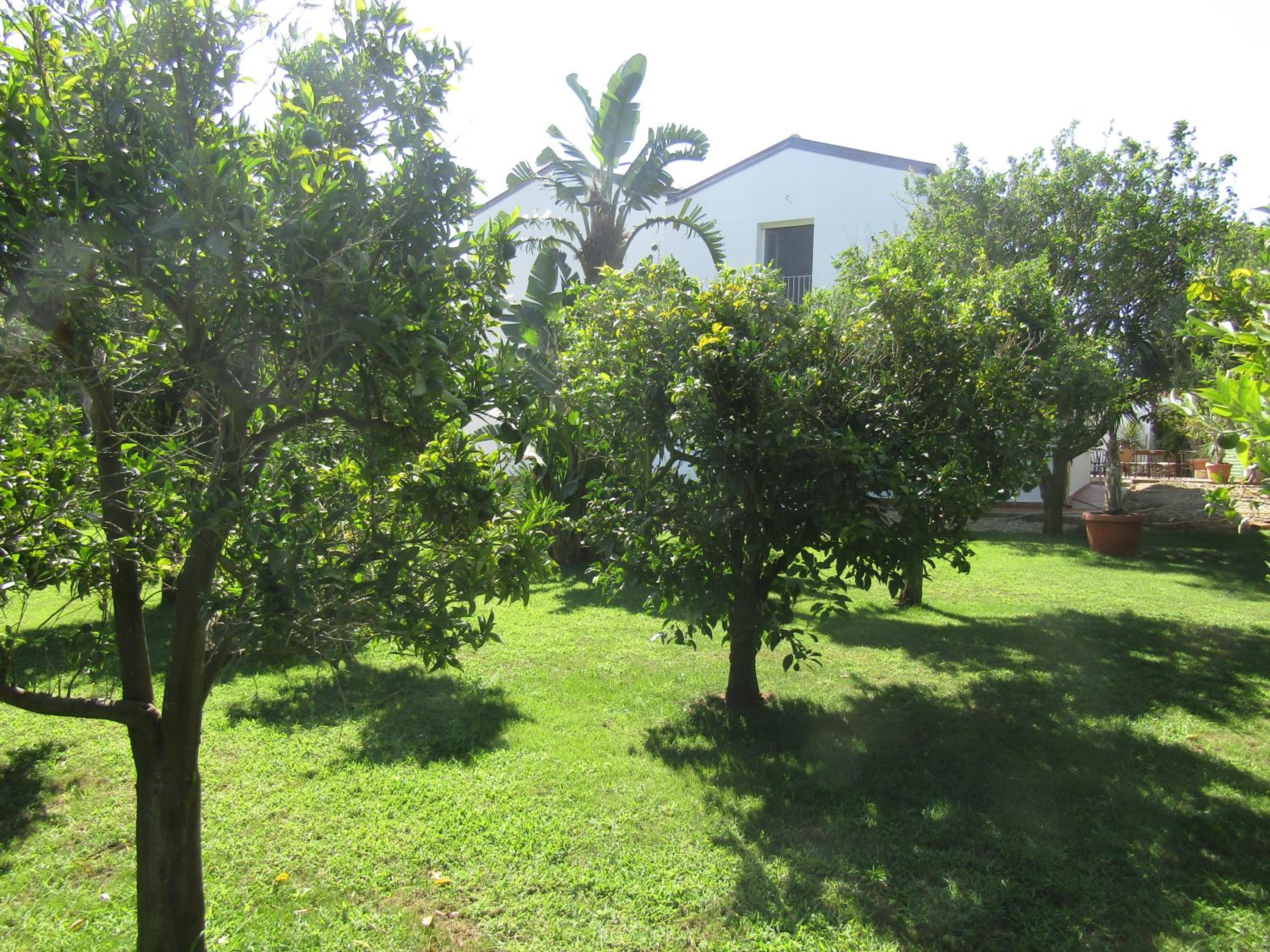 Photo 38