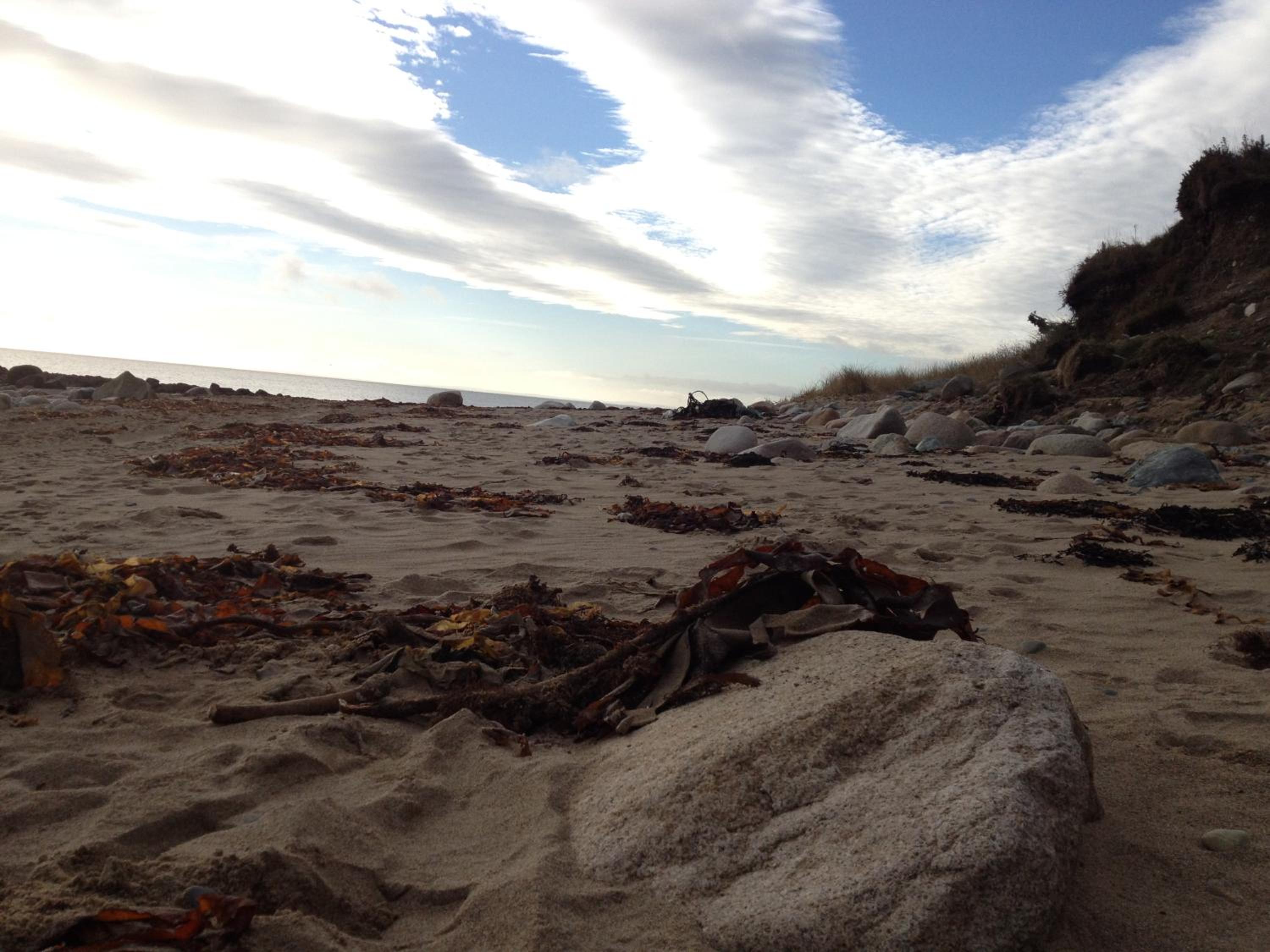 Photo 41
