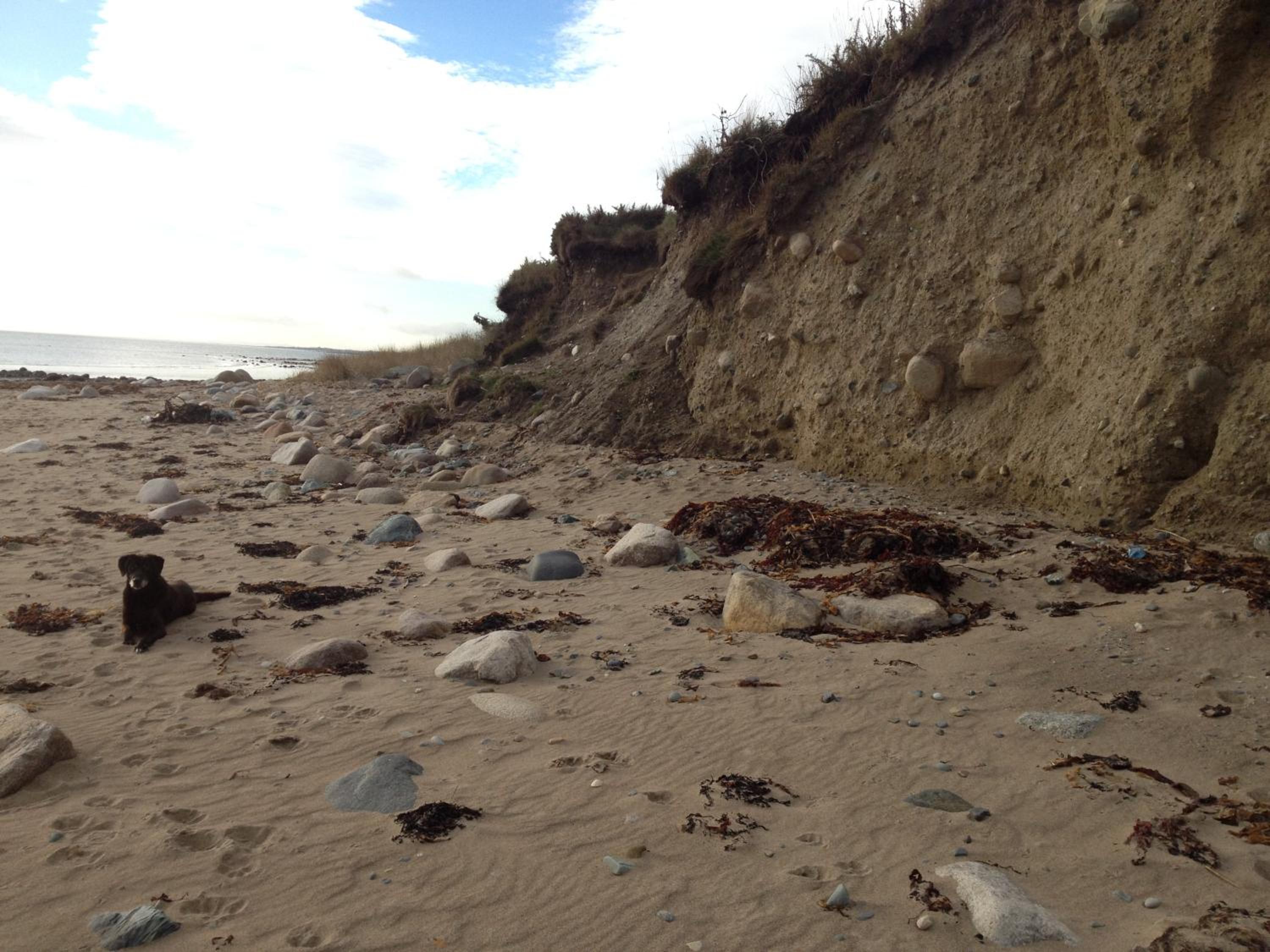 Photo 42