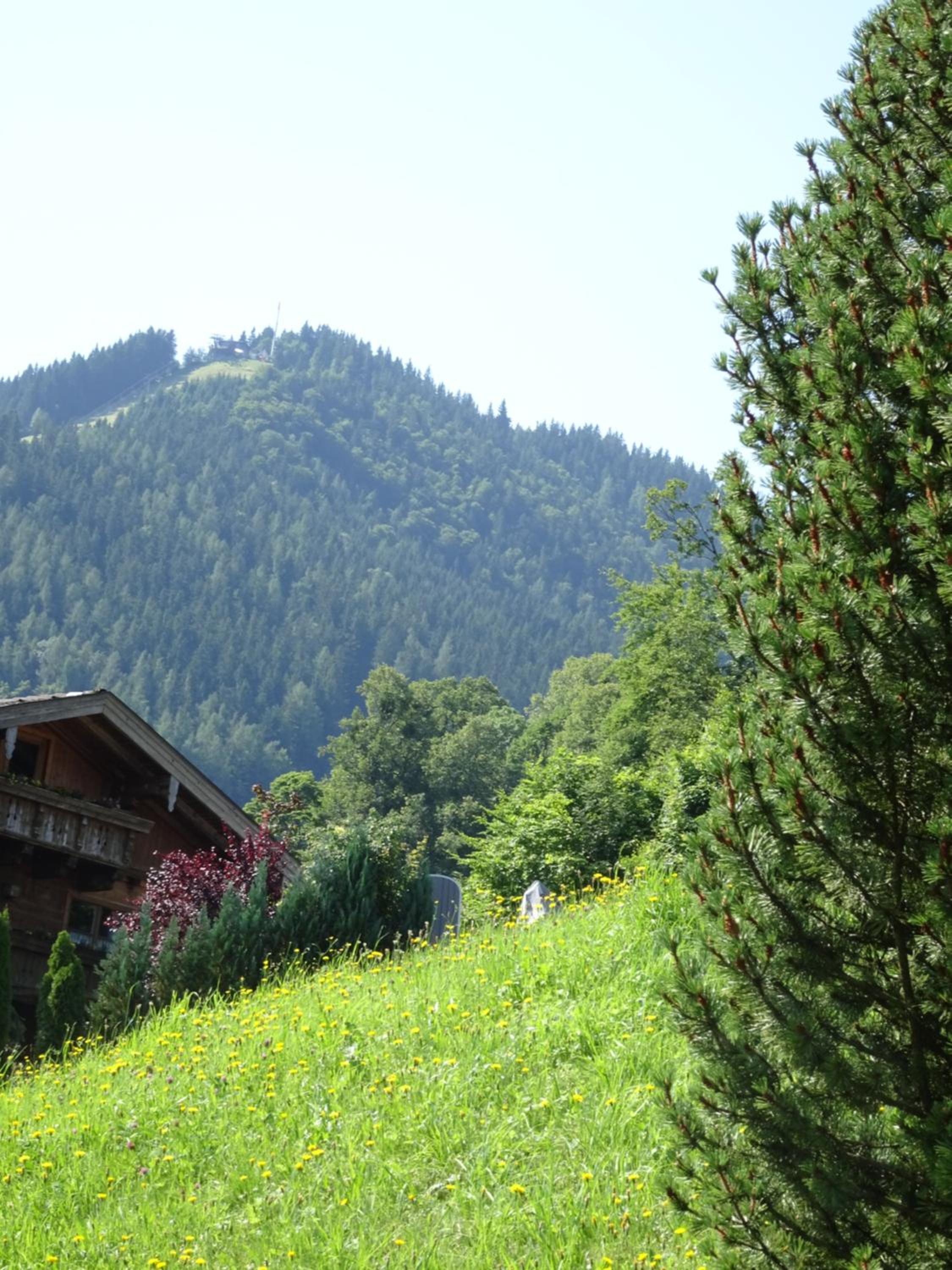 Ferienwohnung Löffelberger view 4