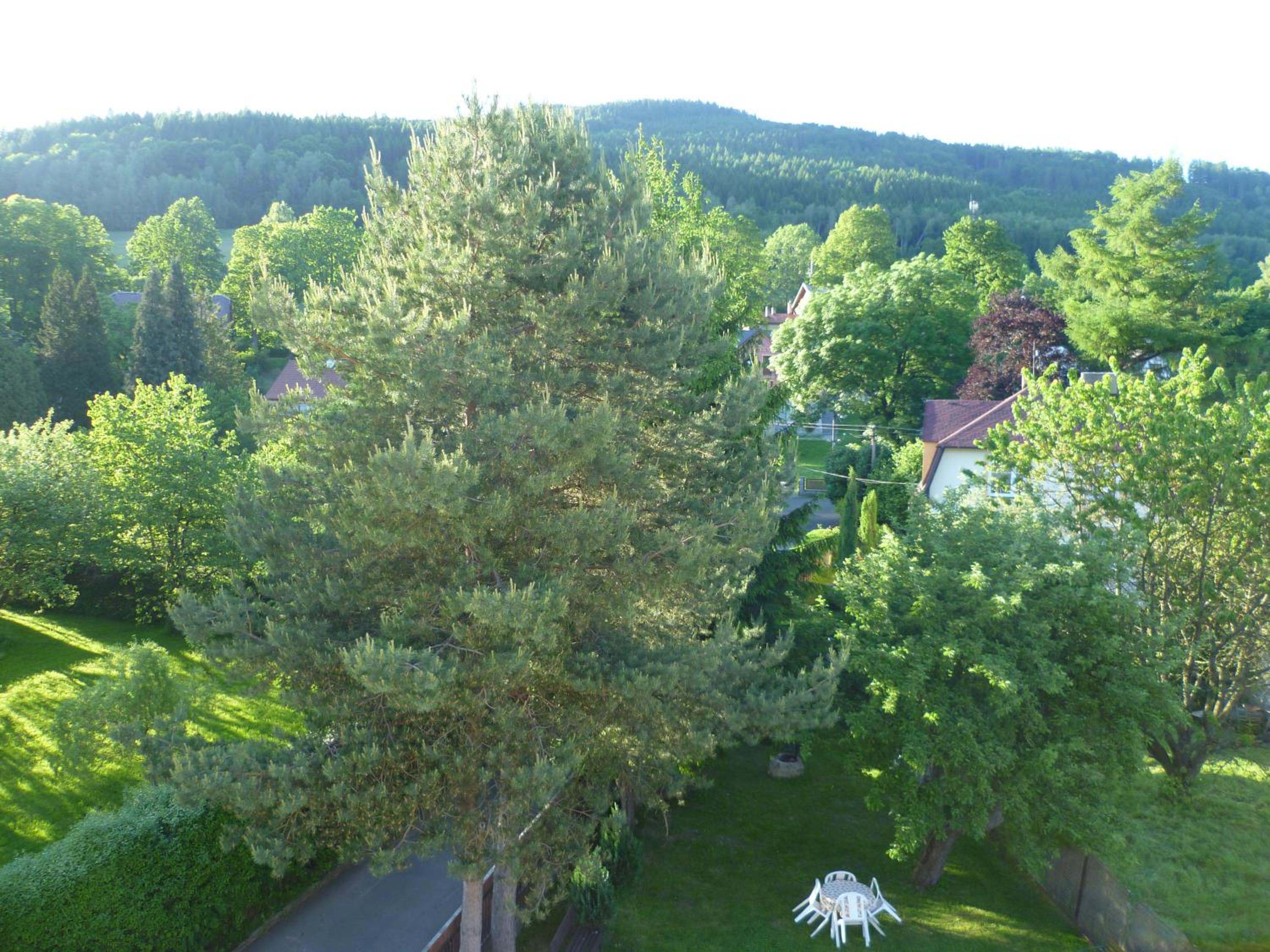 Villa Plischke